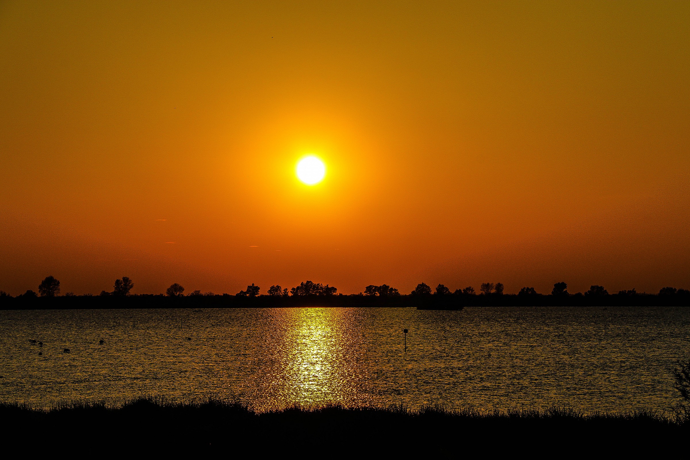 Il Fiume Po E Il Suo Delta 03