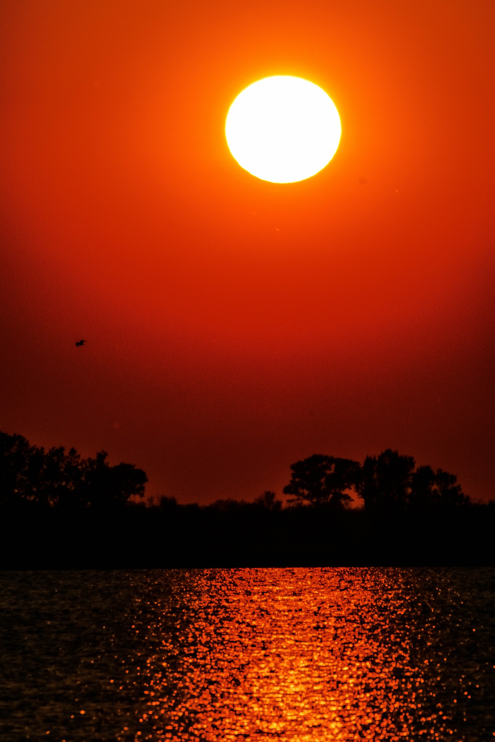 Il Fiume Po E Il Suo Delta 03