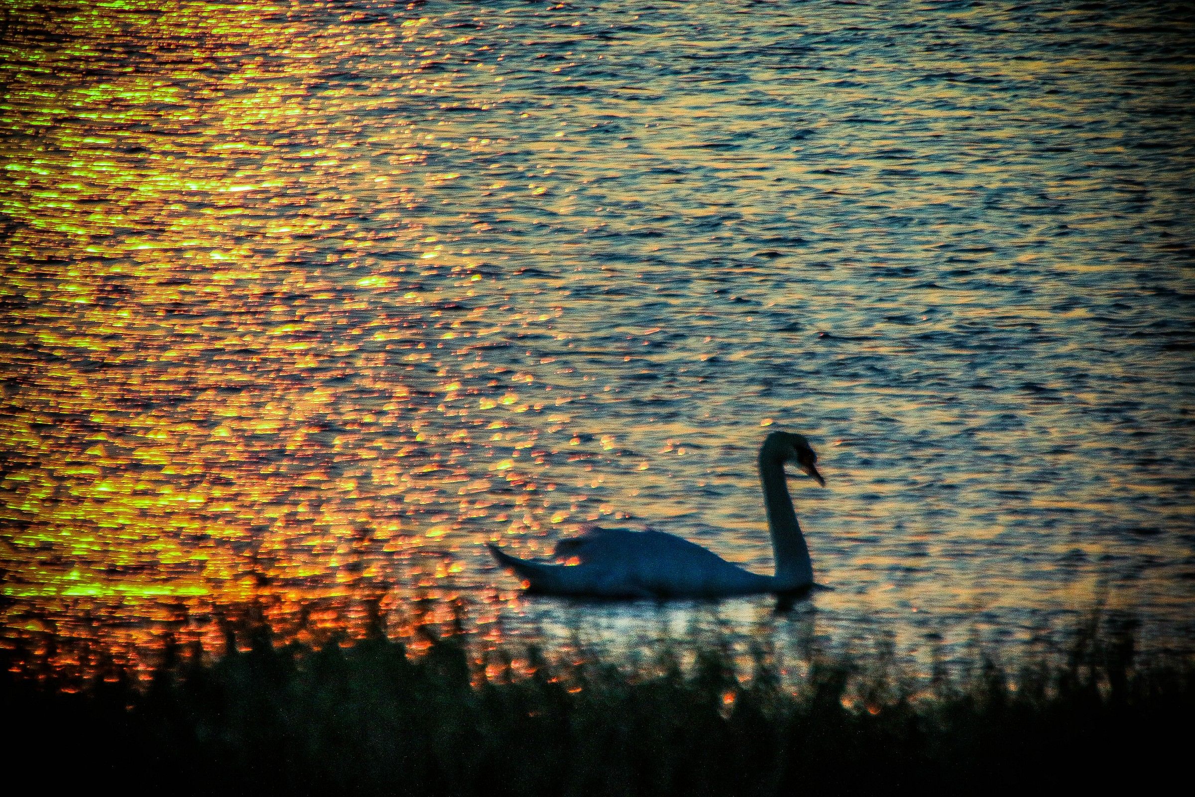 Il Fiume Po E Il Suo Delta 03