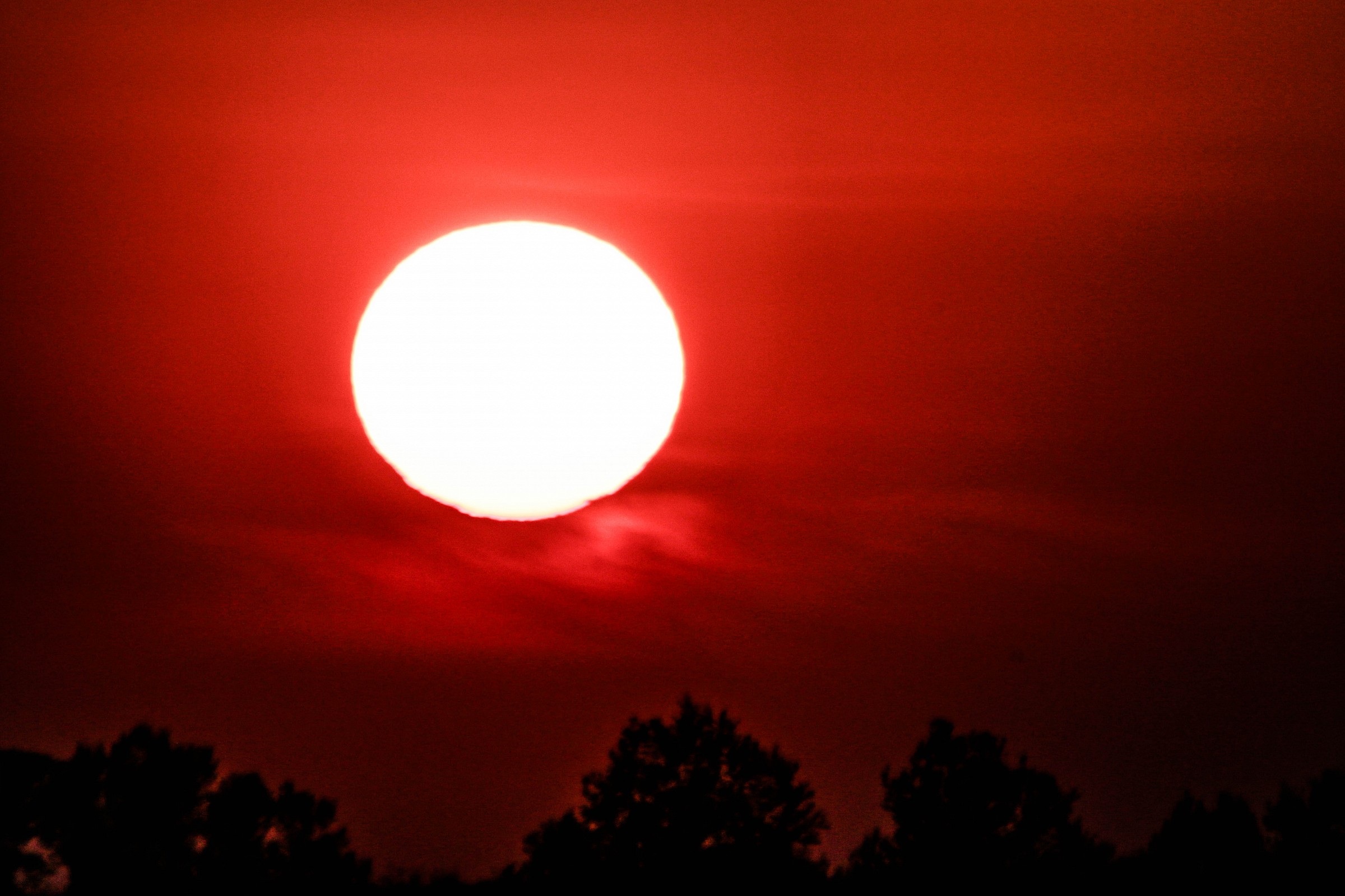 Il Fiume Po E Il Suo Delta 03