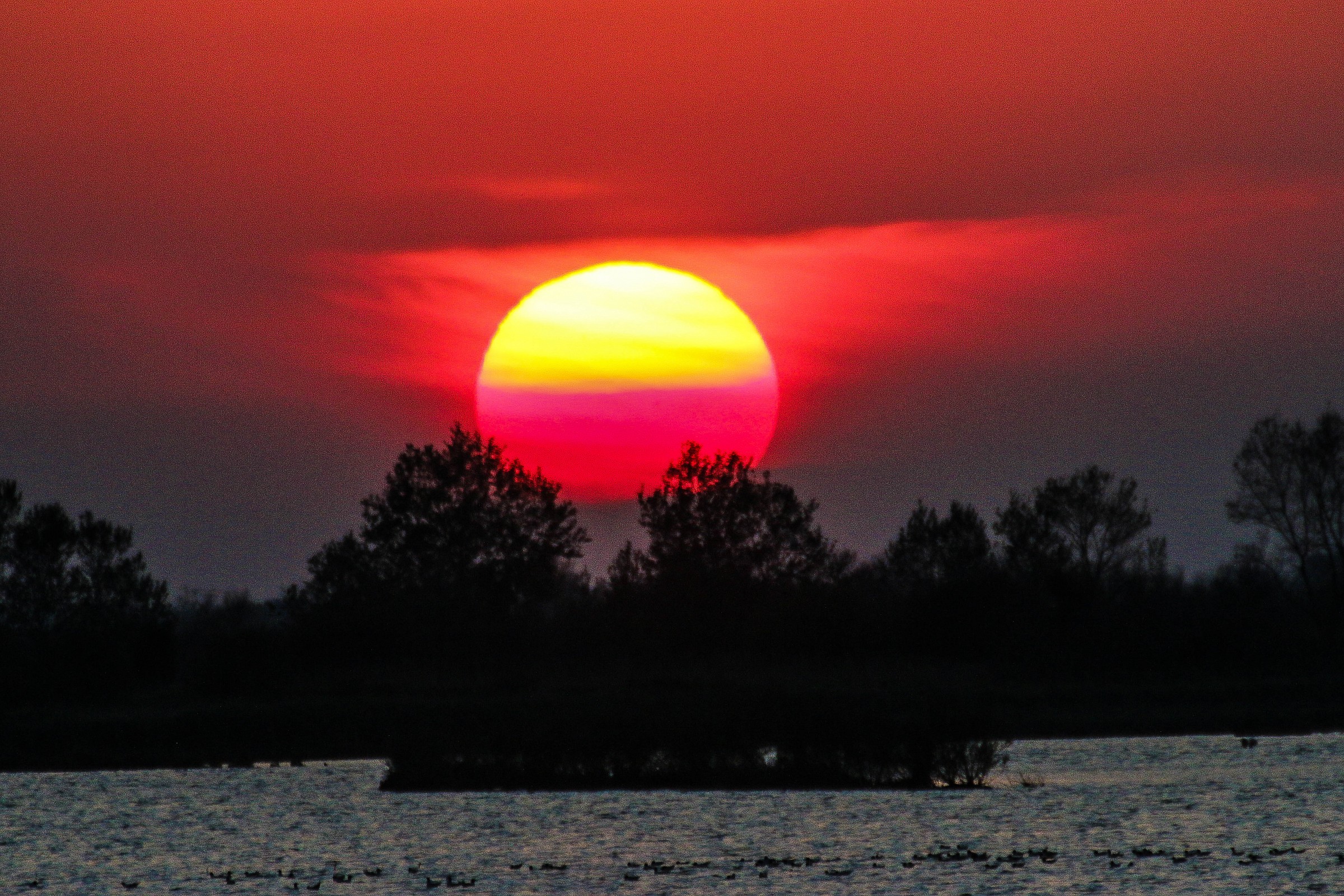 The River Po And His Delta 03