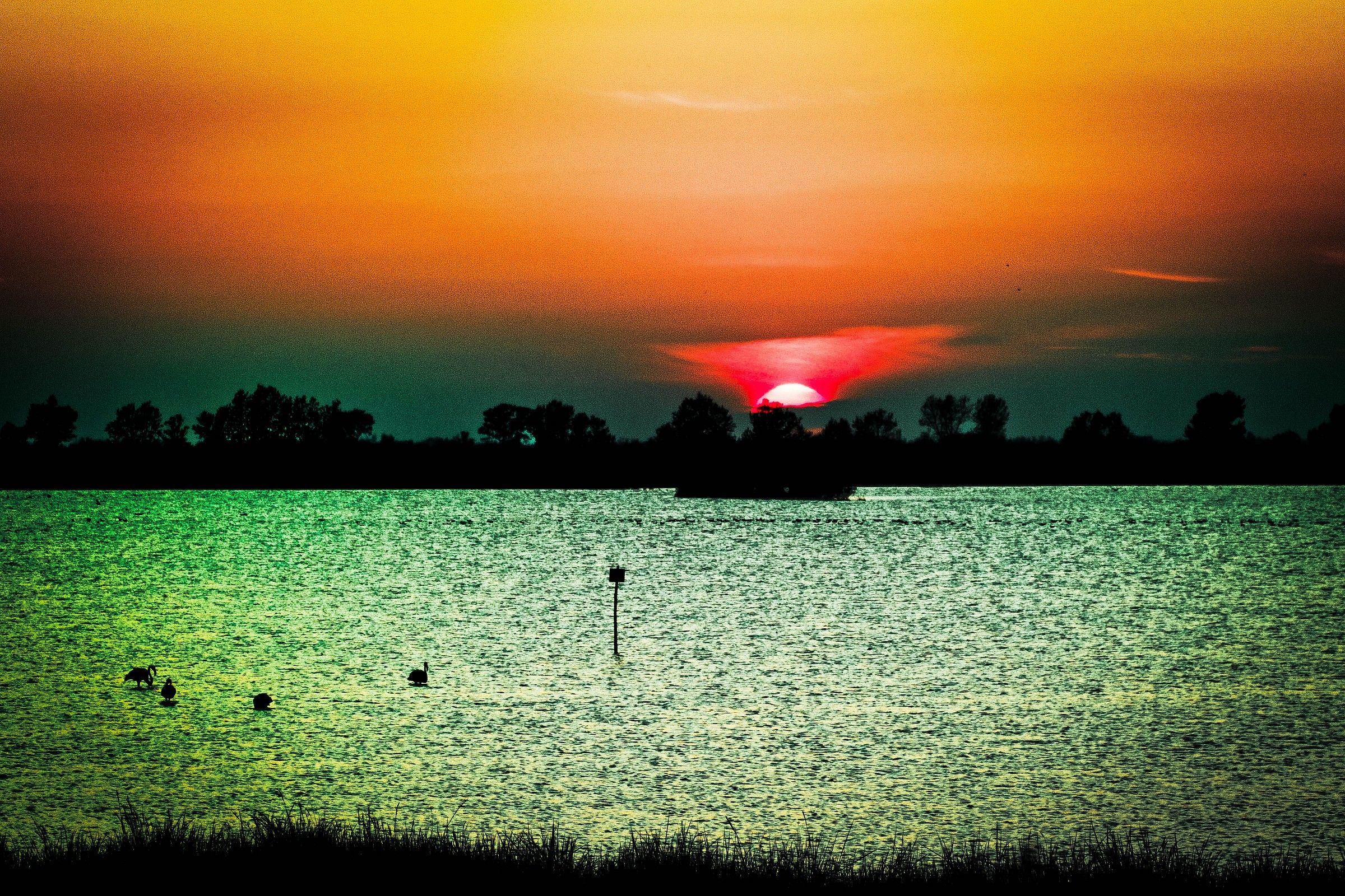 Il Fiume Po E Il Suo Delta 03