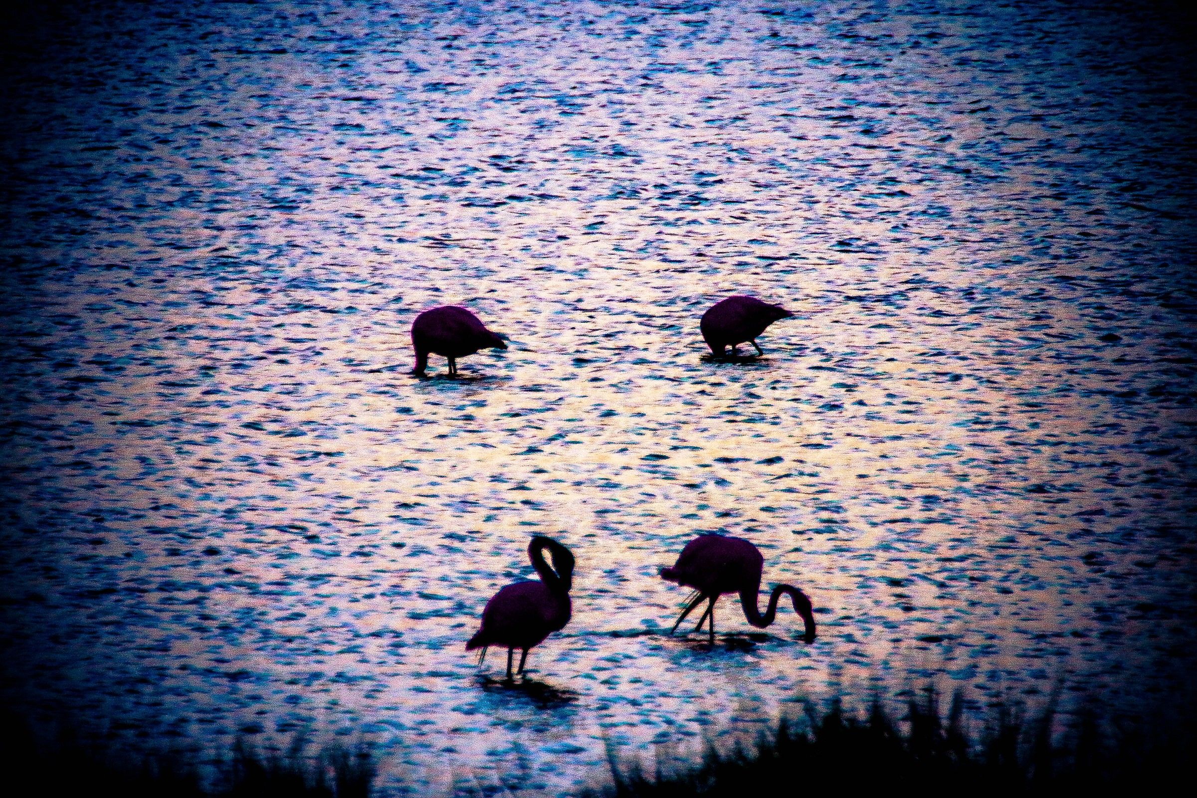 Il Fiume Po E Il Suo Delta 03
