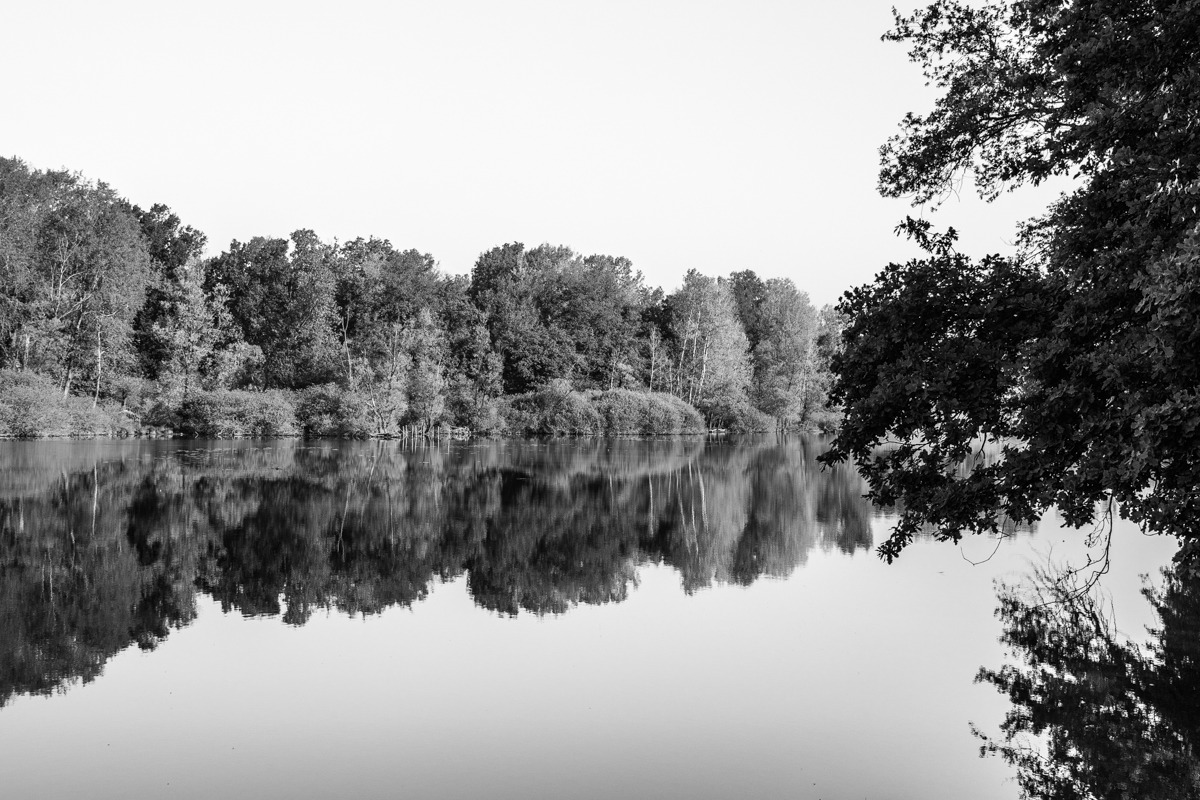 Metaphysical Landscapes