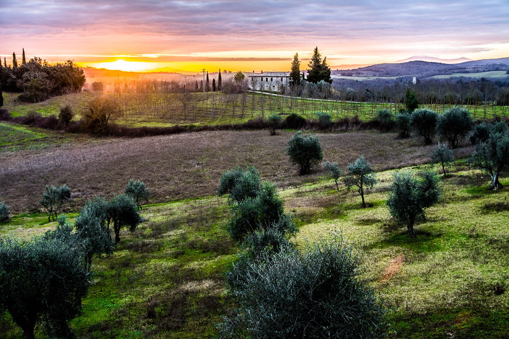 Colline senesi