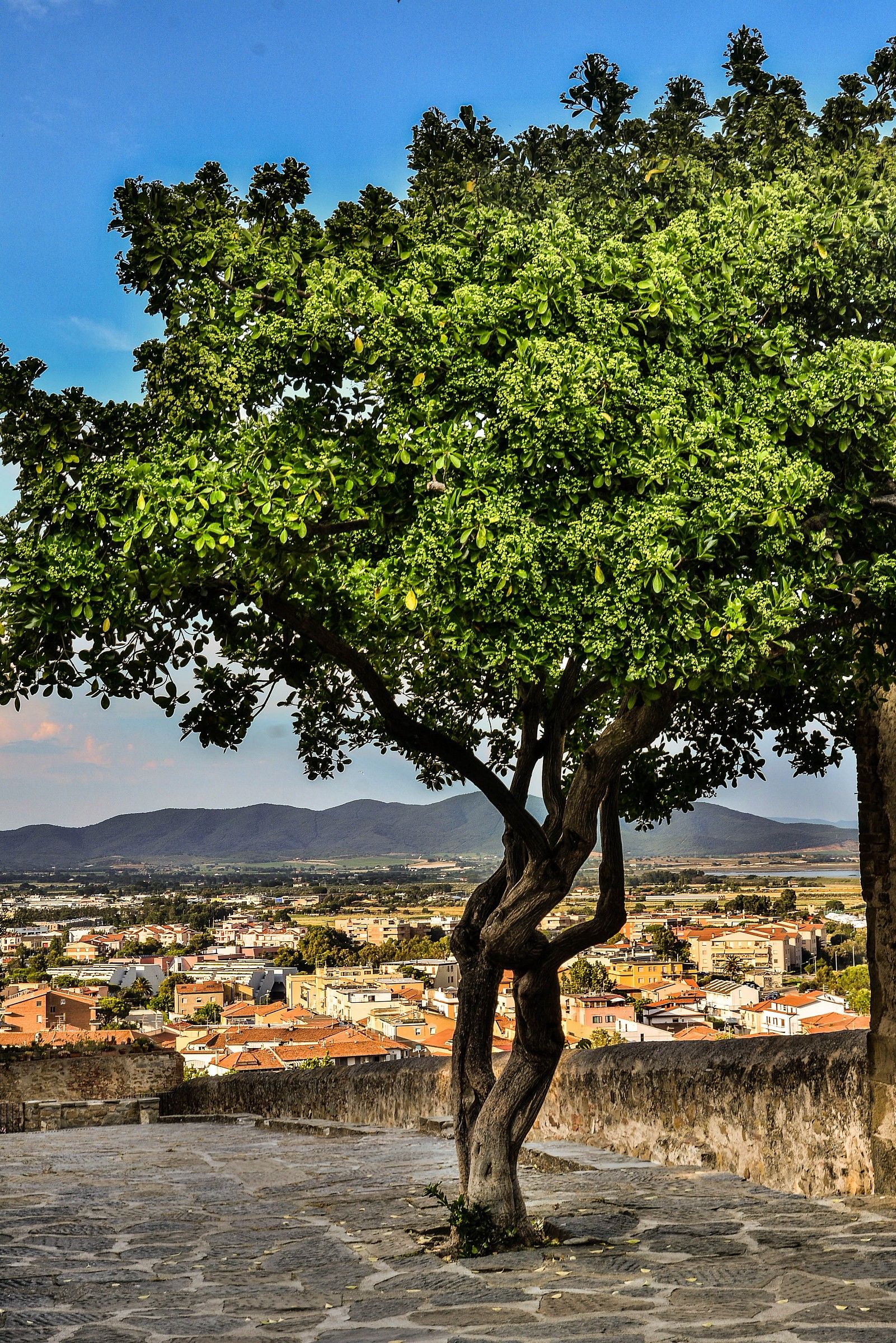 Castiglione della Pescaia