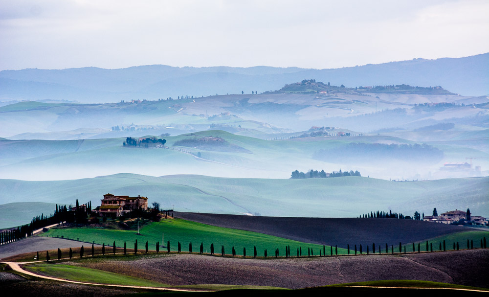 Colline senesi