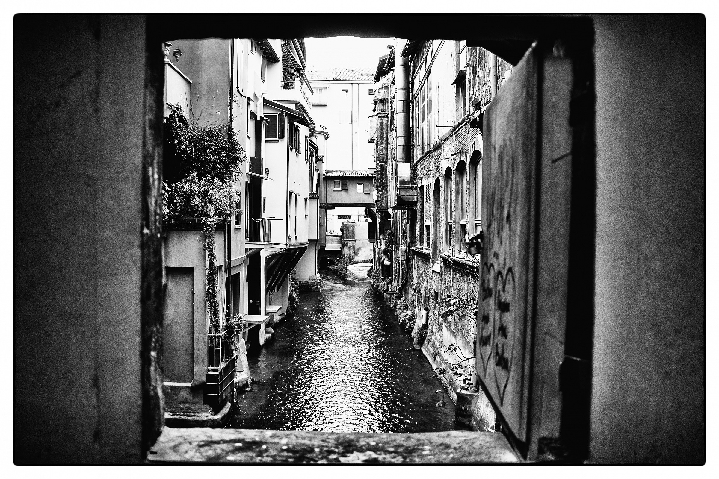 Moline Canal - Bologna