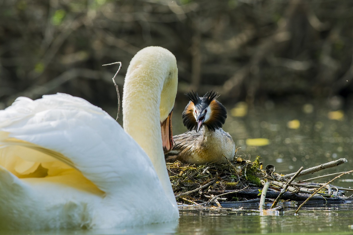 Do not try to get closer