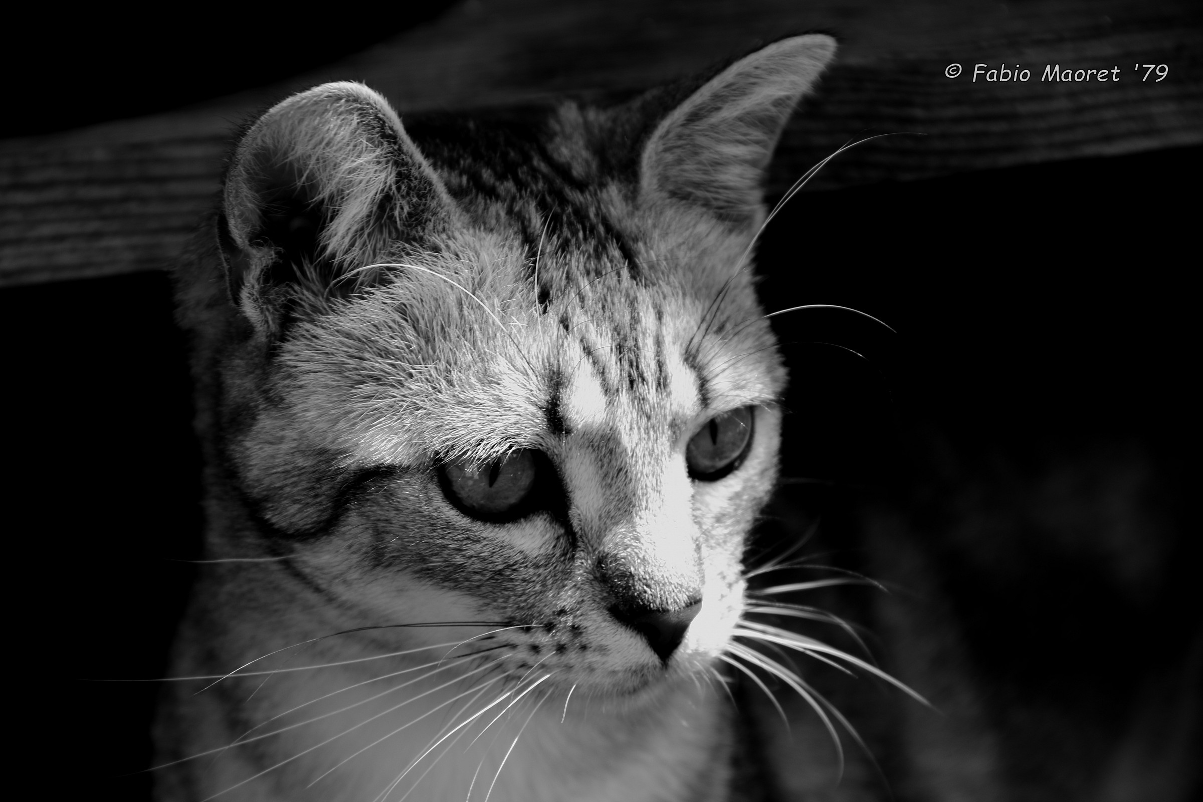 Who Is there Over there !!!!!