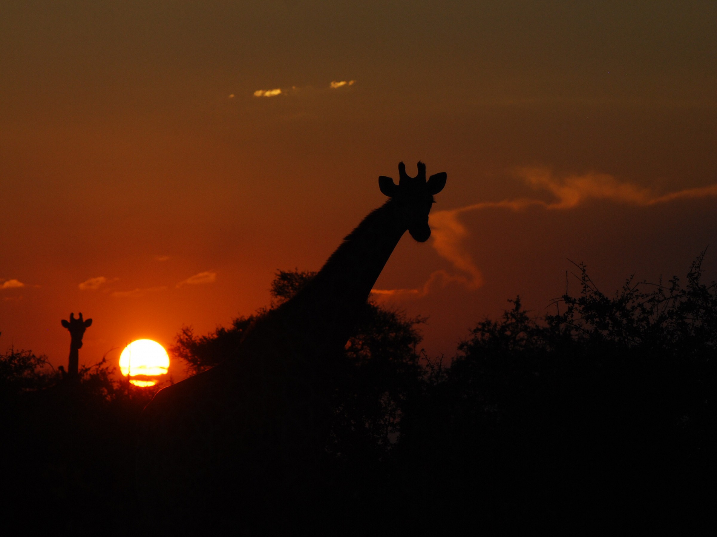 sunset in Botswana