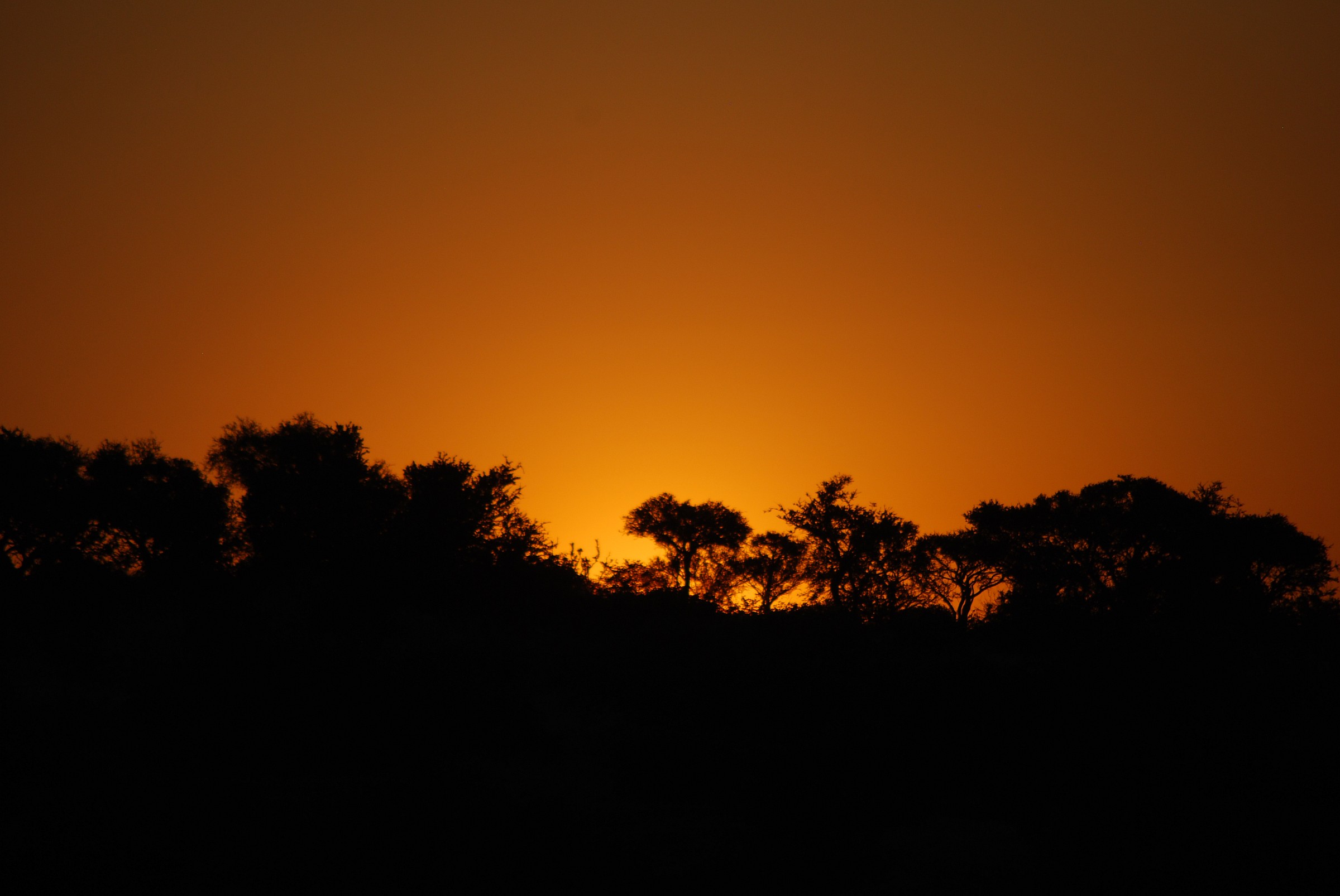 sunset in Botswana