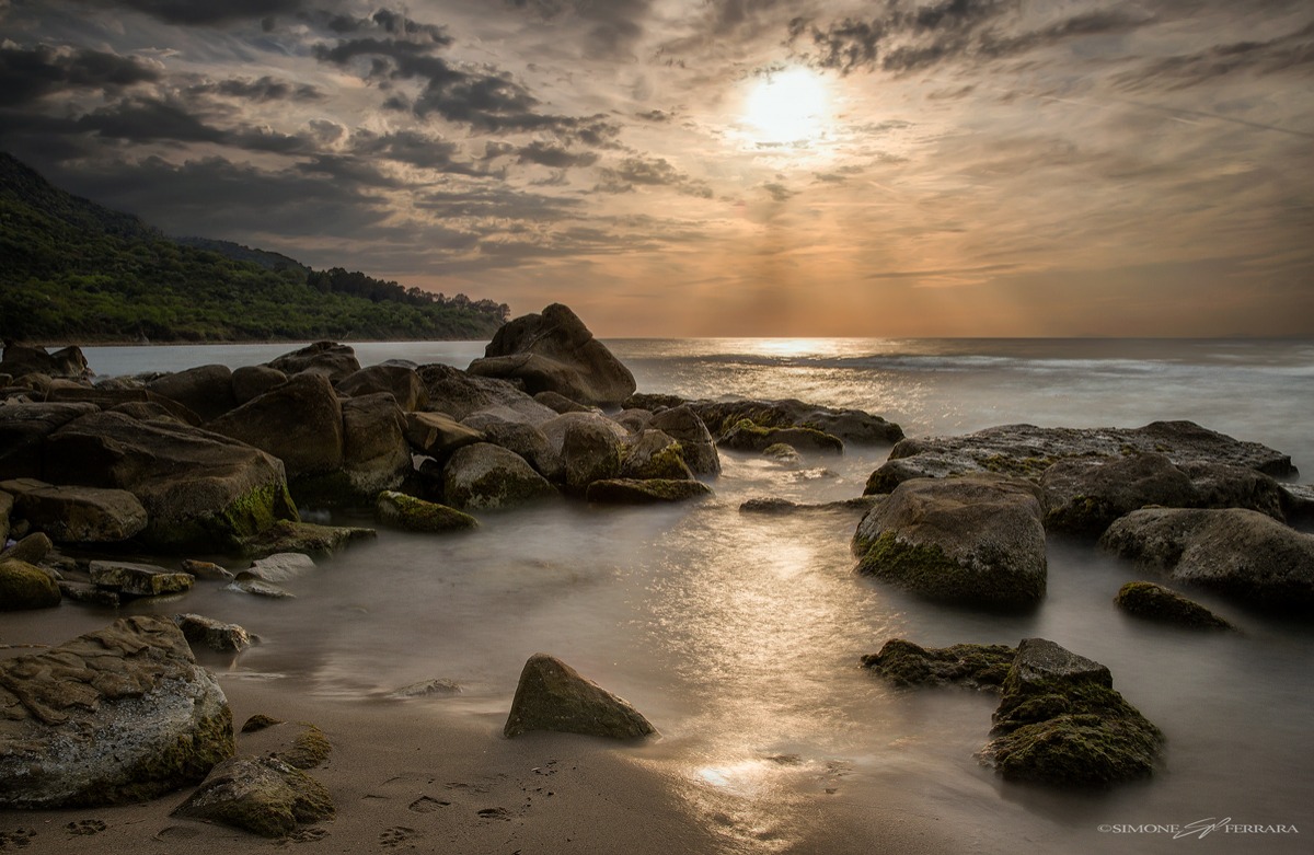 ray of light in the dark