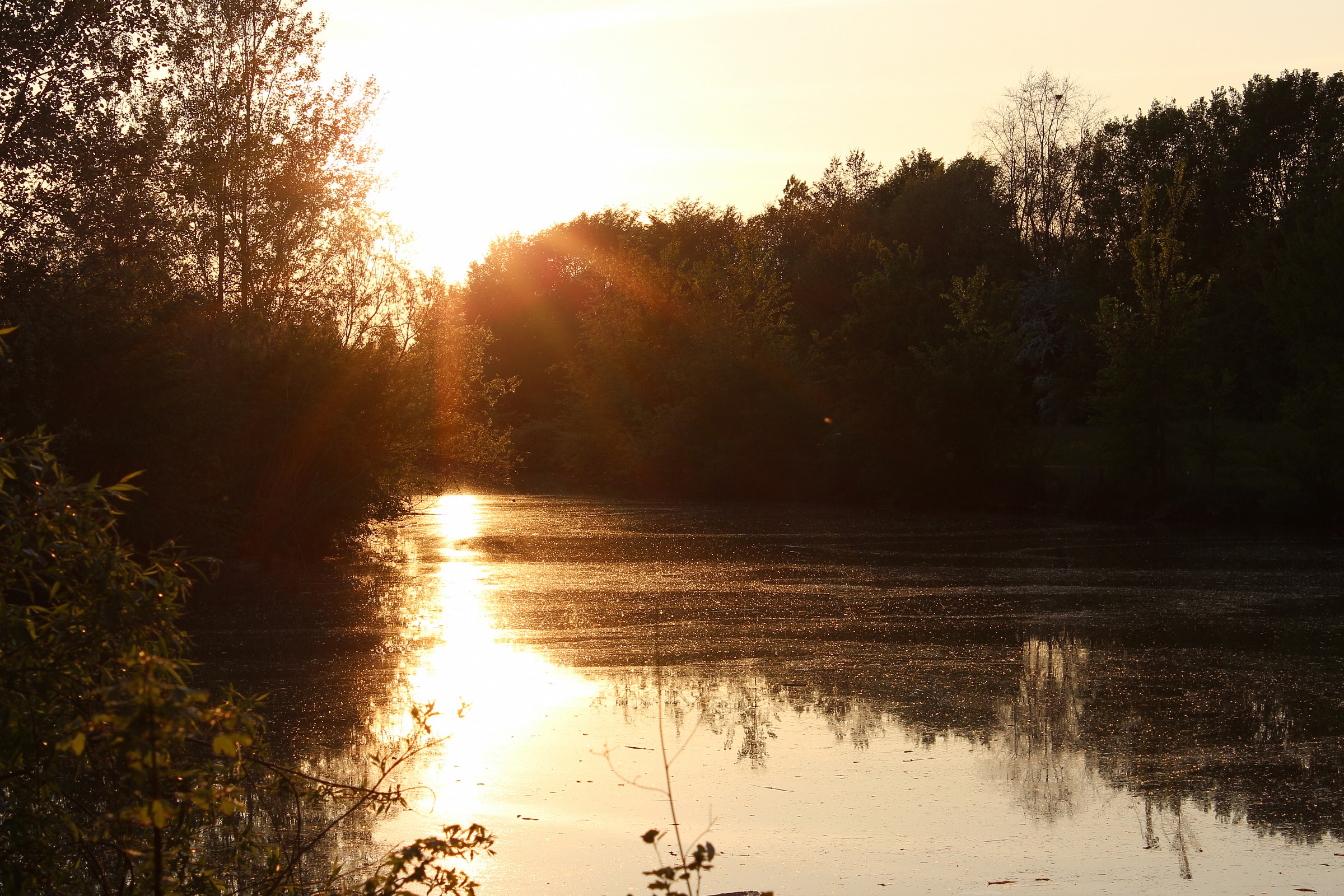 Parco Urbano di Ferrara