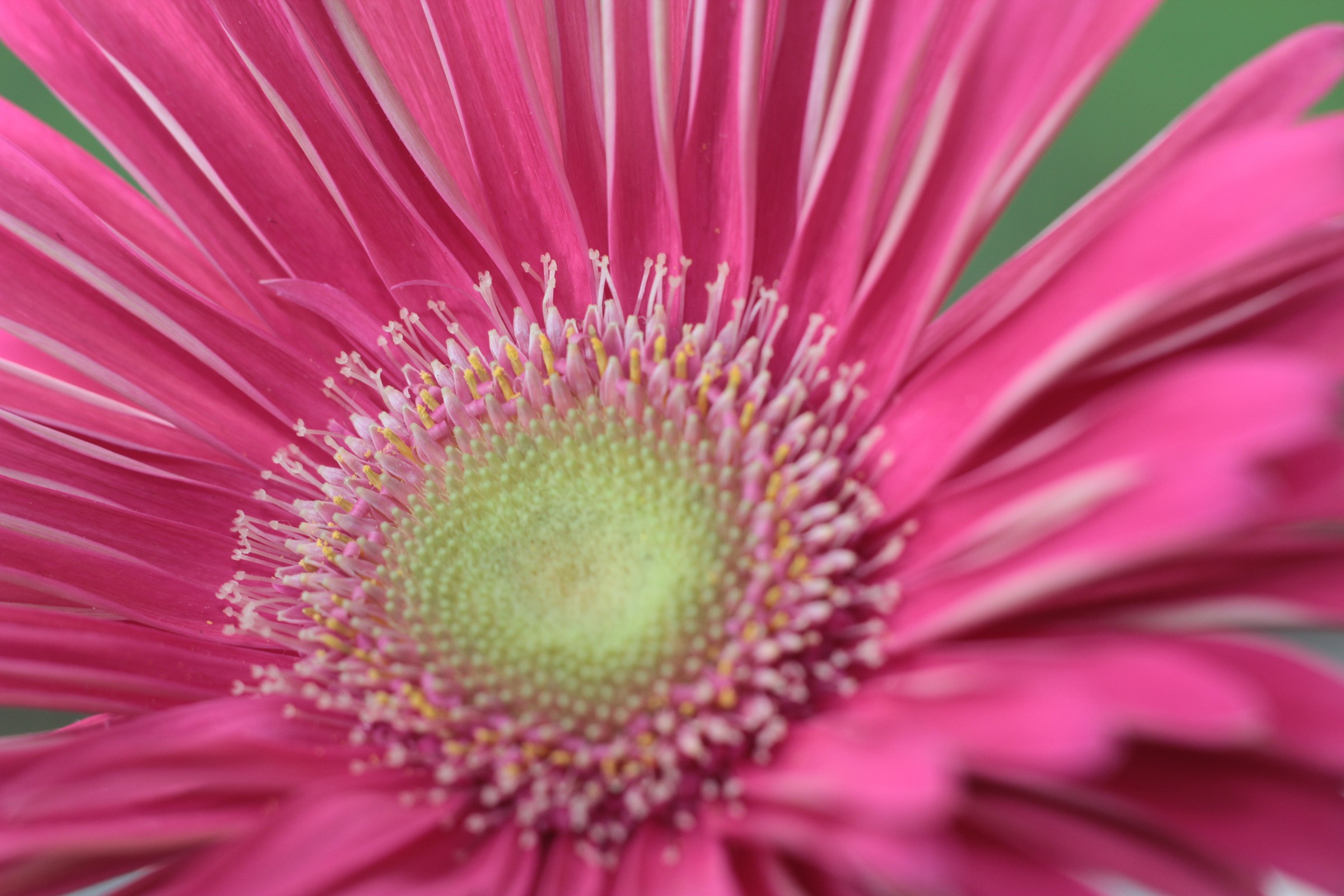 Inizio della Primavera