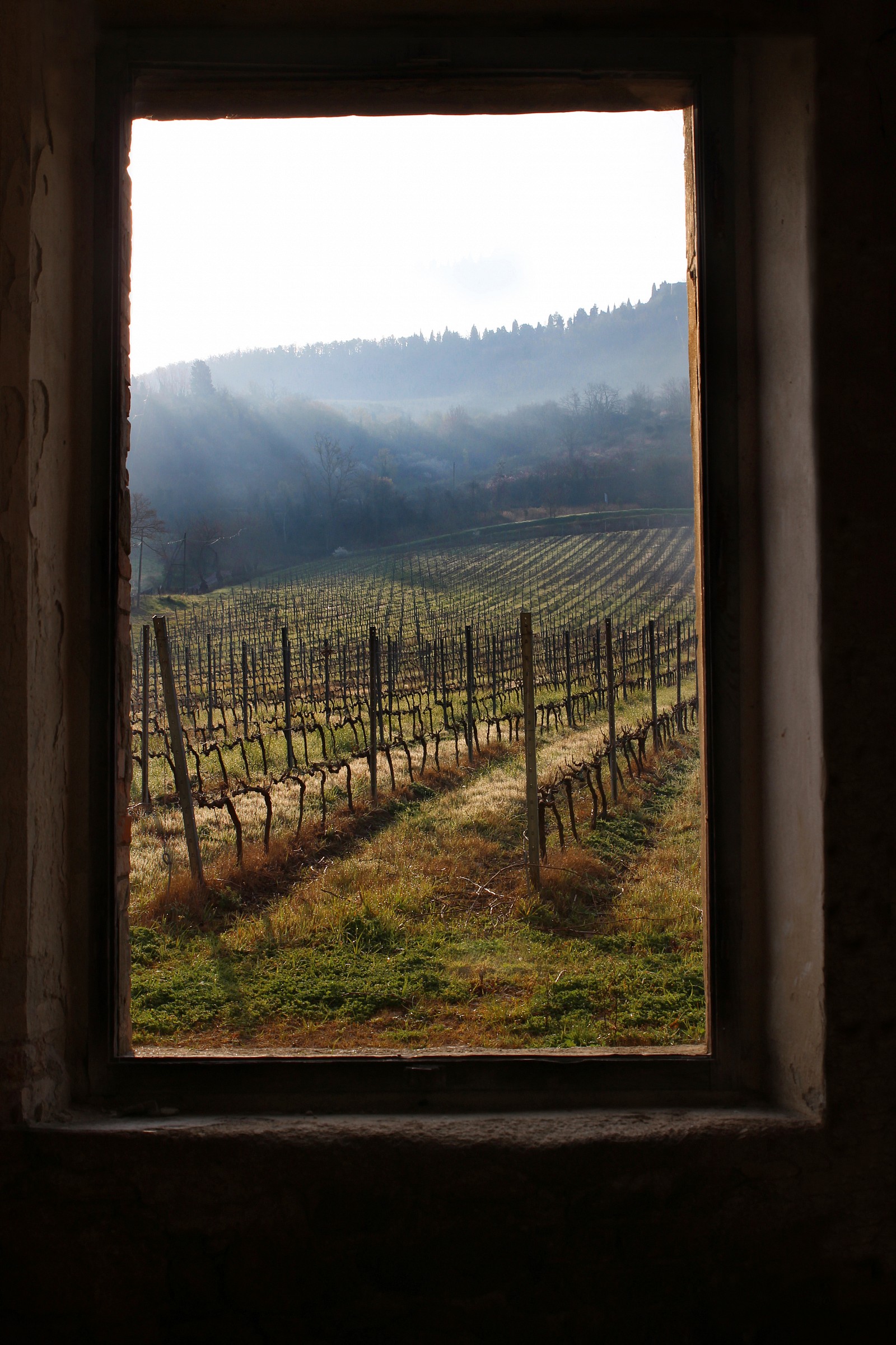 "A window on the earth ..."