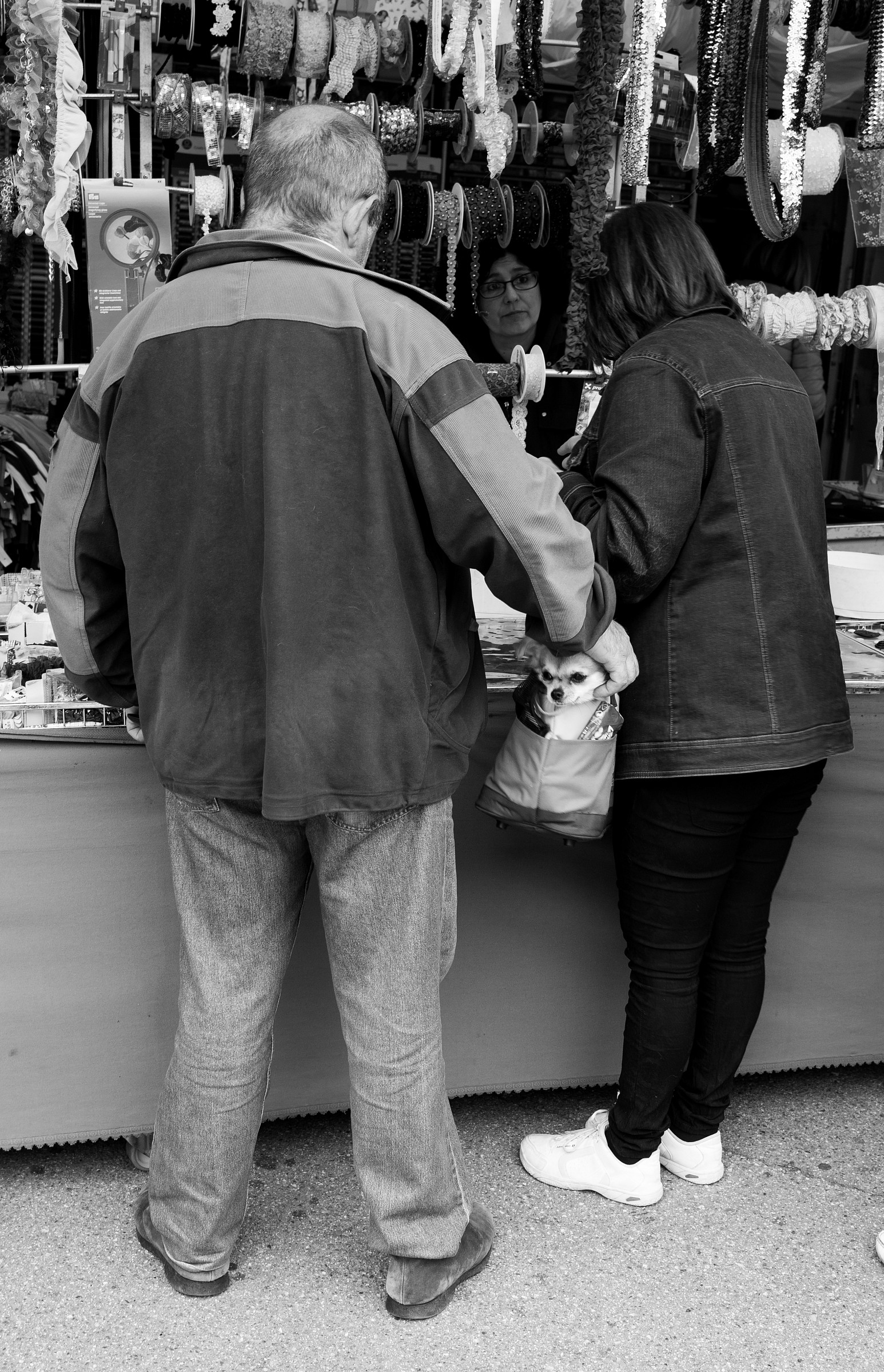 Voglio sgranchirmi le zampe,  non stare nella borsa!