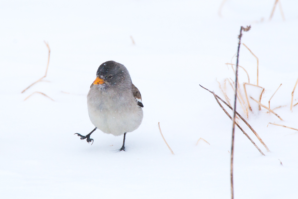 hard to walk through ...