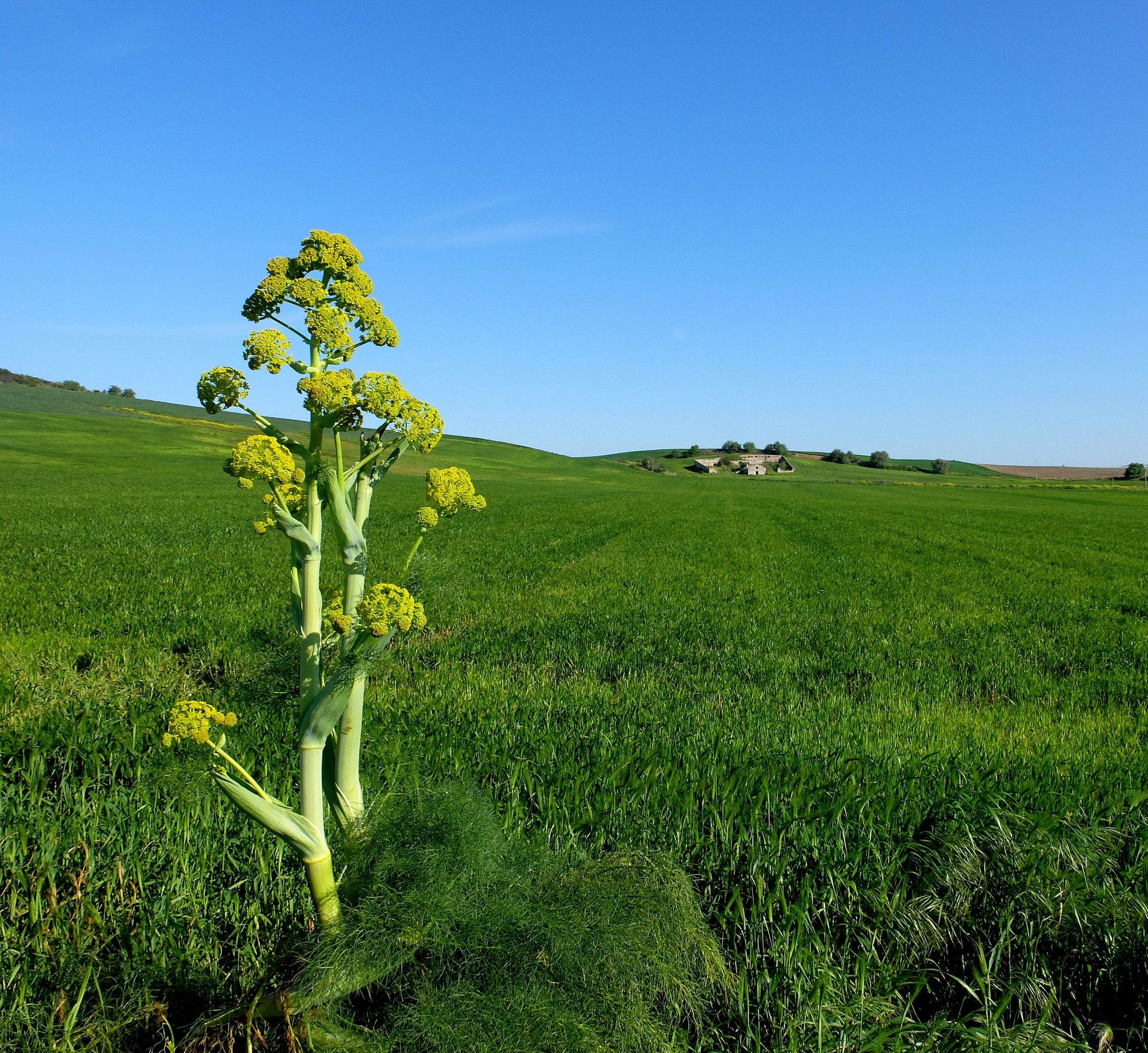 Parco della Murgia Matera