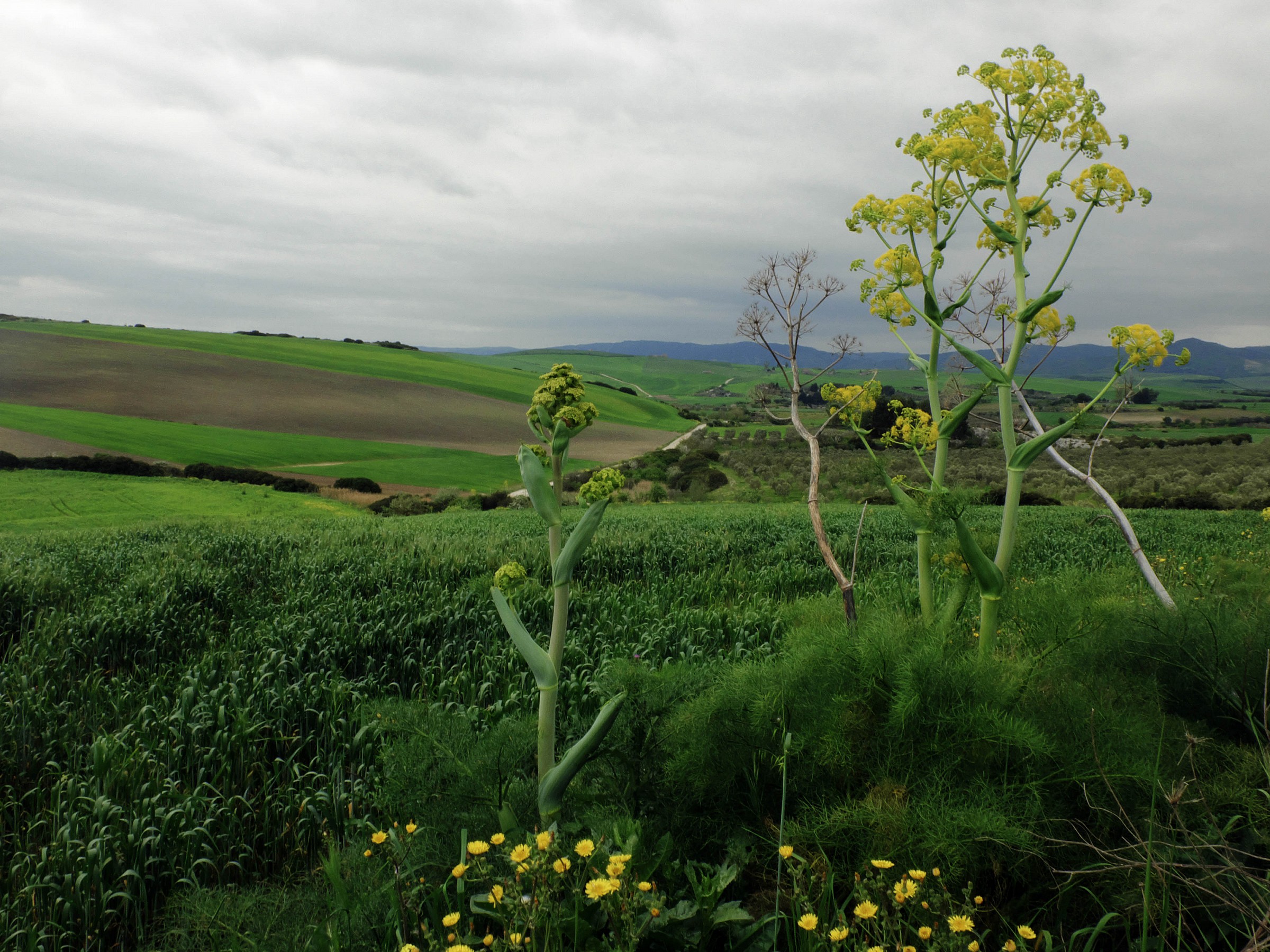 Parco della Murgia Matera
