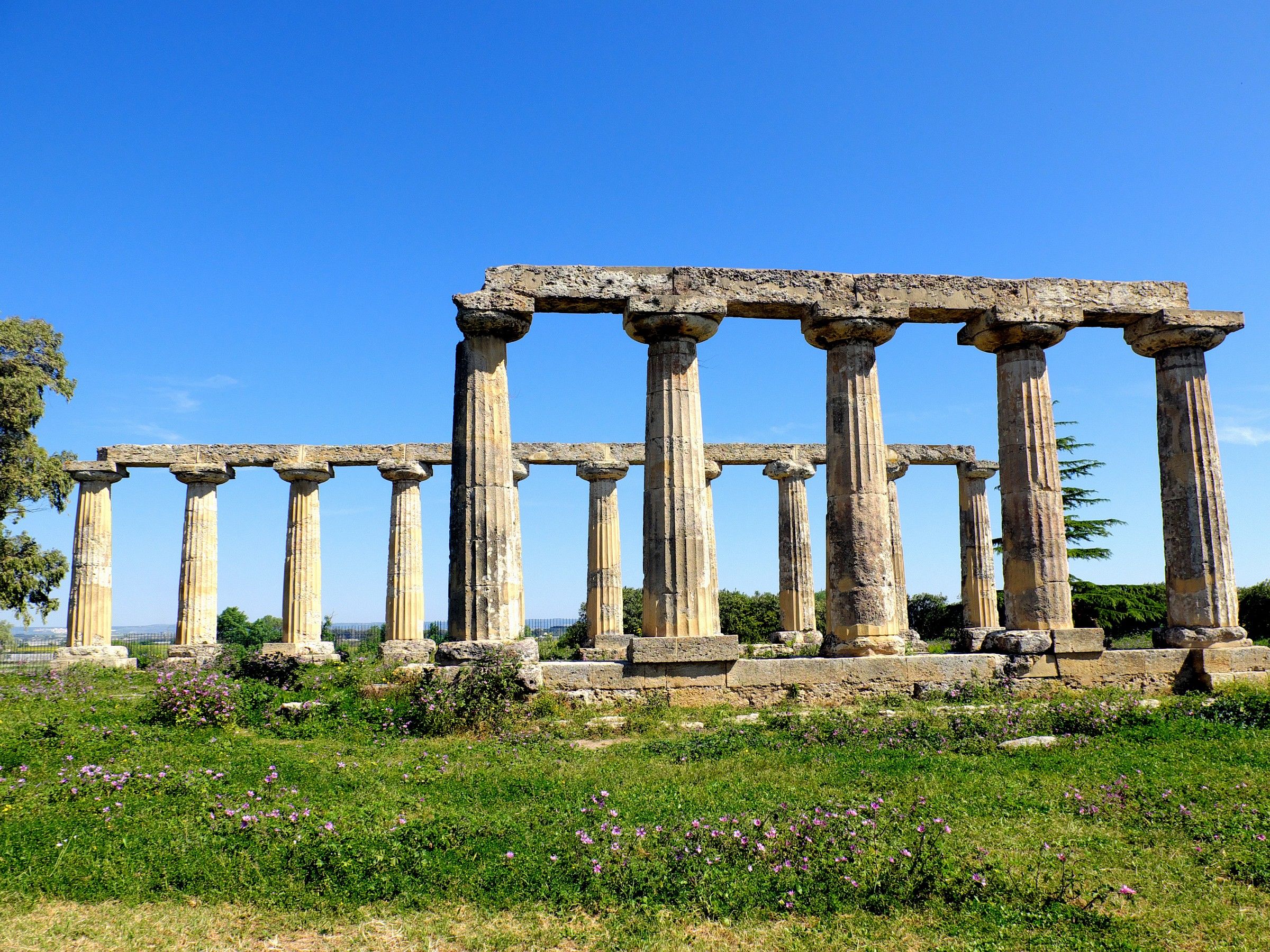 Metaponto: Palatine Tables