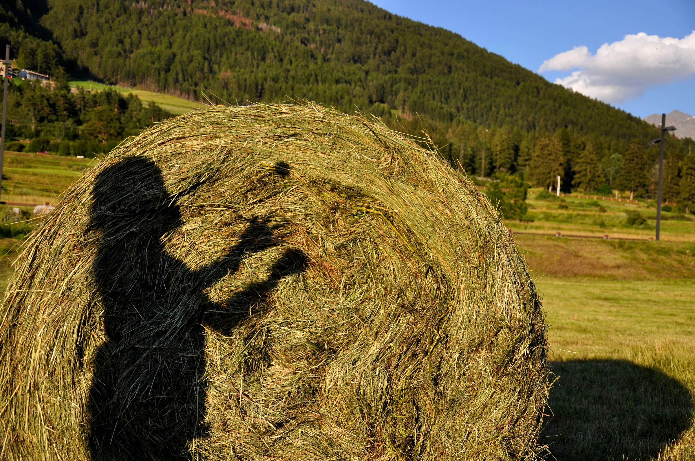..ombre e giochi di bimba...