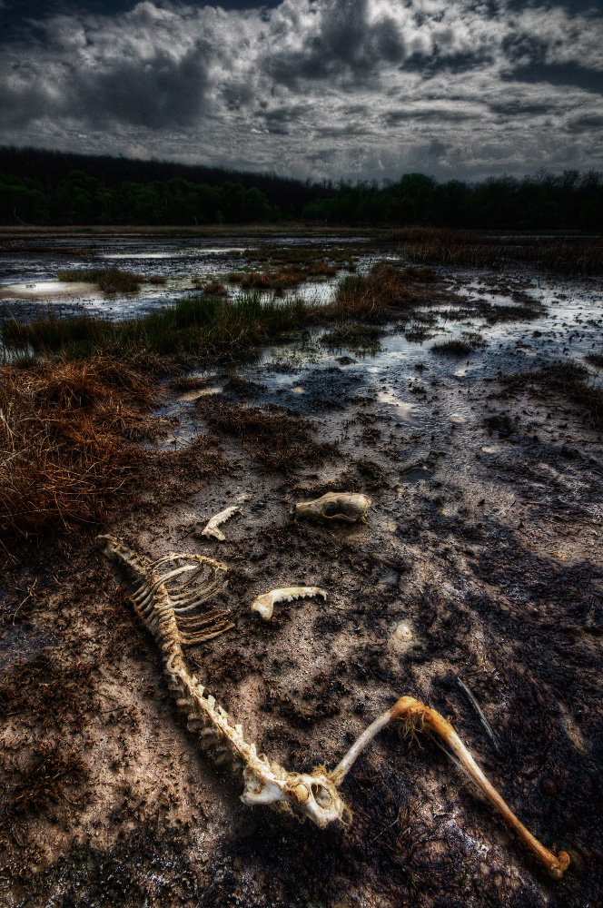 The breath of Mephisto # 4