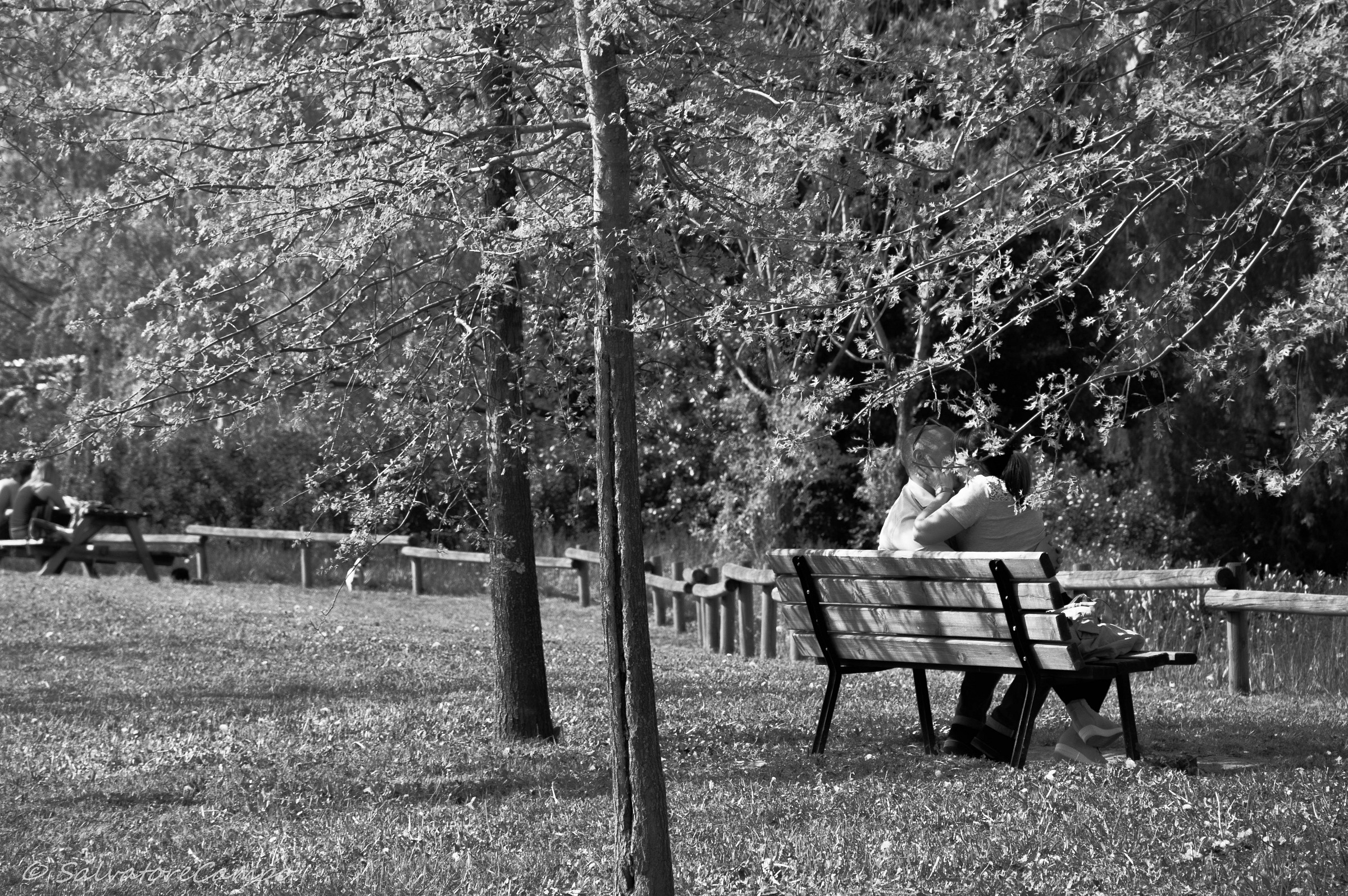 .... Bench of lovers