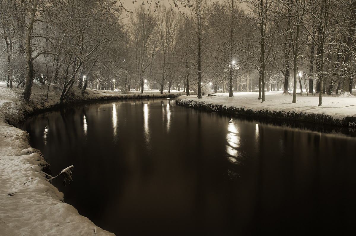 Parco Lambro in notturna