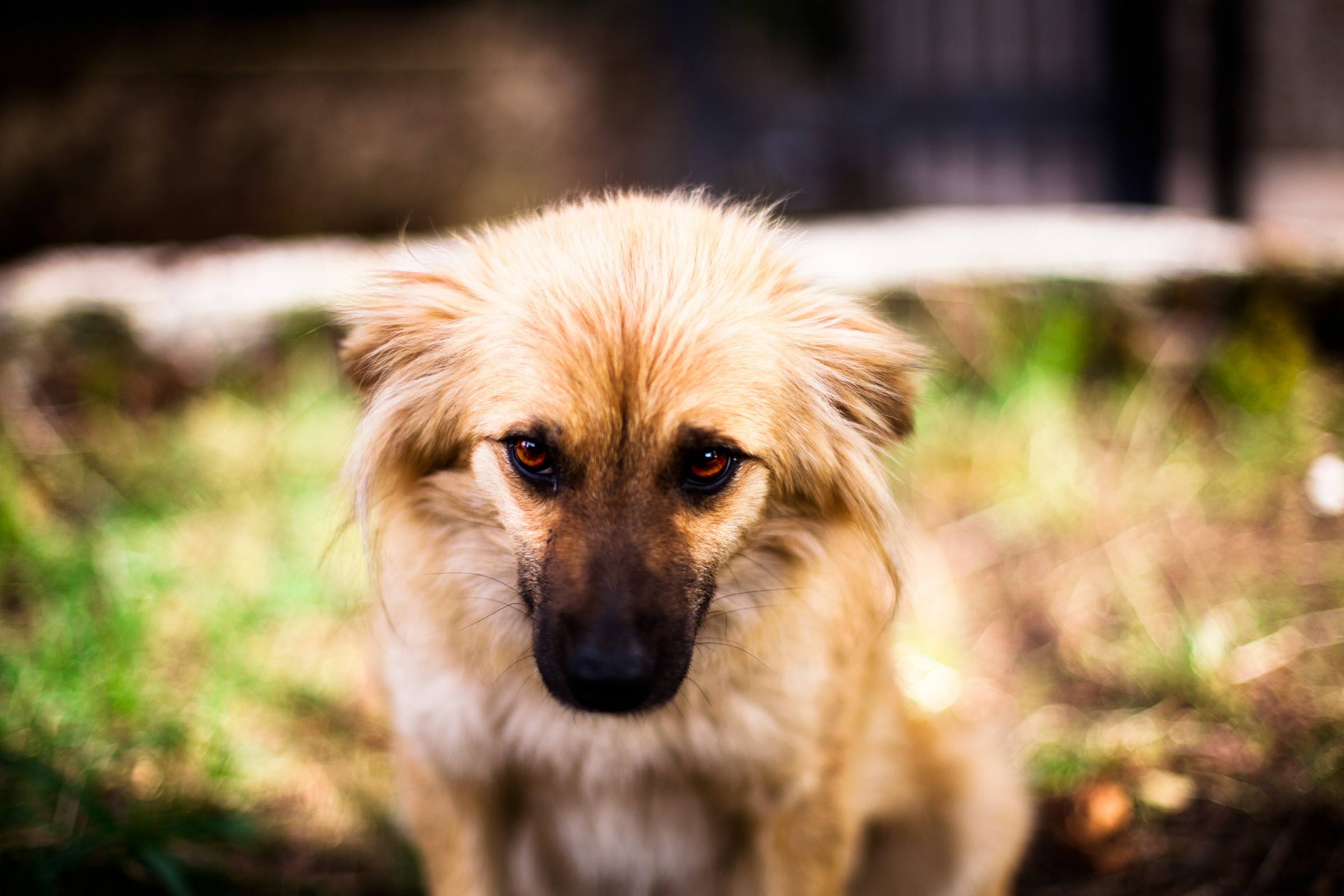 Eyes suffering from too much indifference