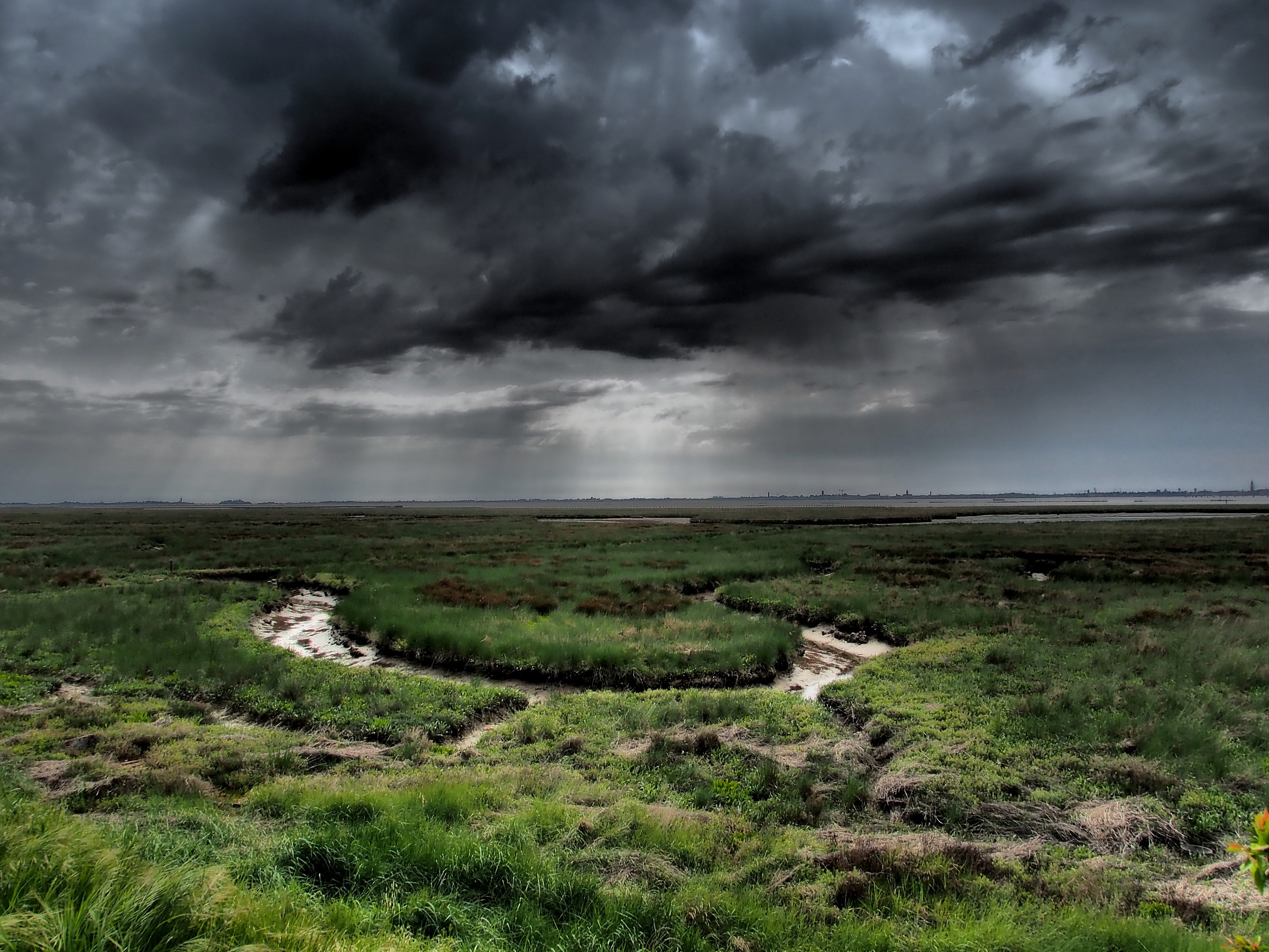 Barena a Campalto (ve)