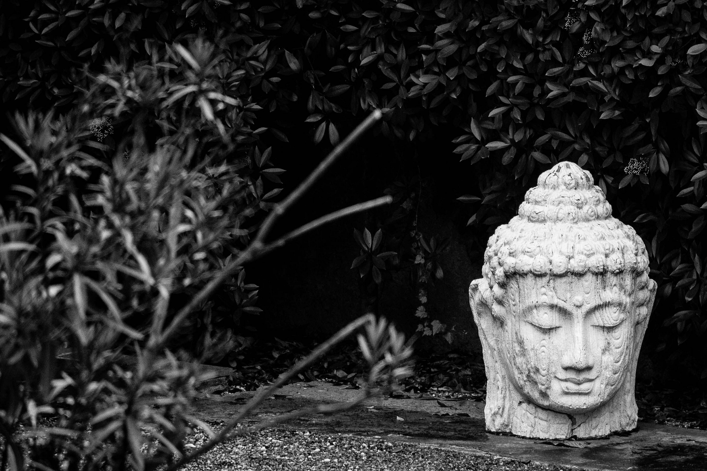 On one trip, in my balcony ....