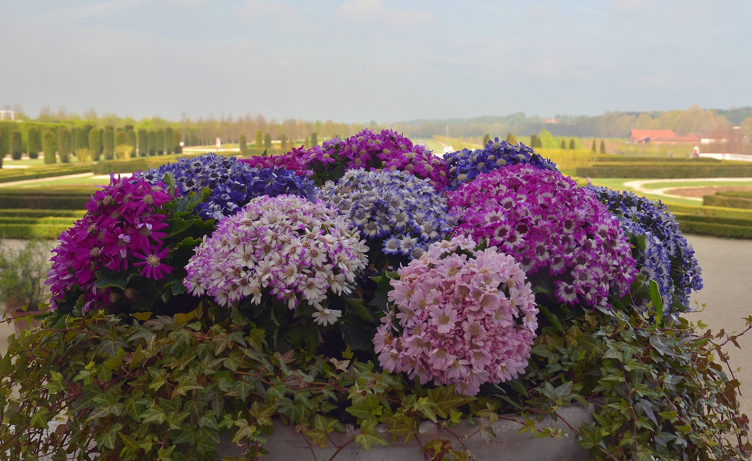 Composizione floreale