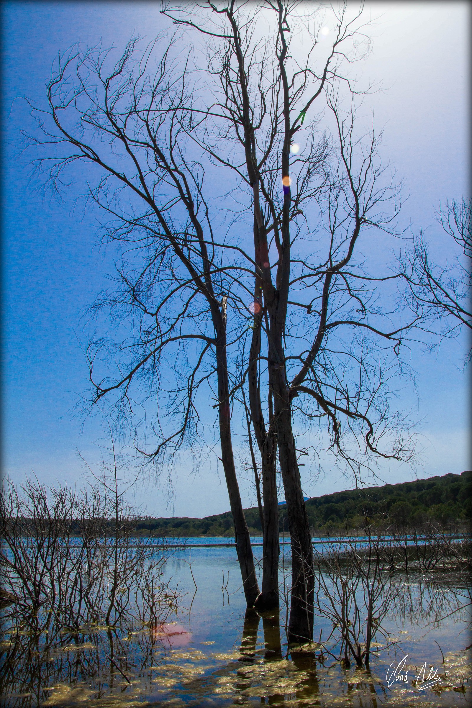 scorcio di primavera