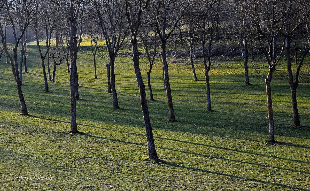 Ombre lunghe a Primavera....