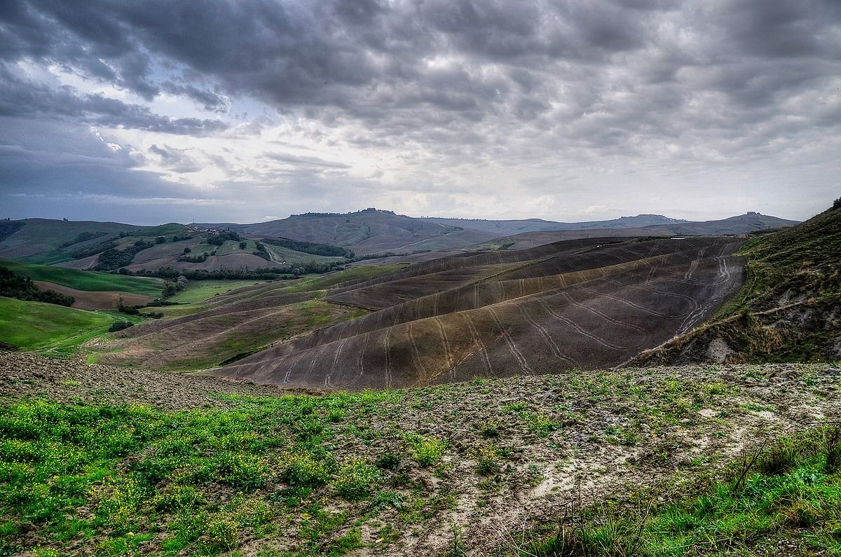 the color of the rain