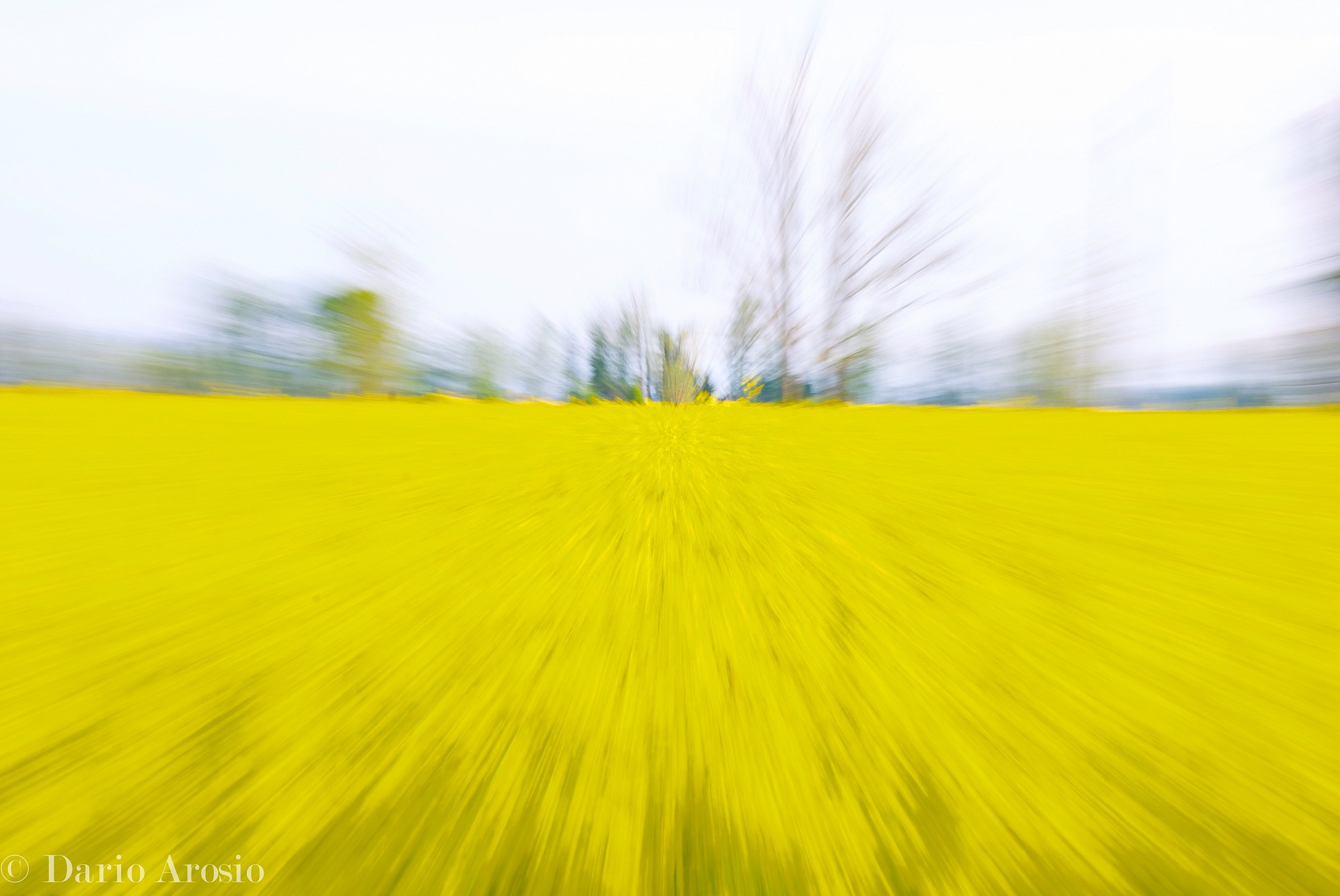 Rape zoomed controlled