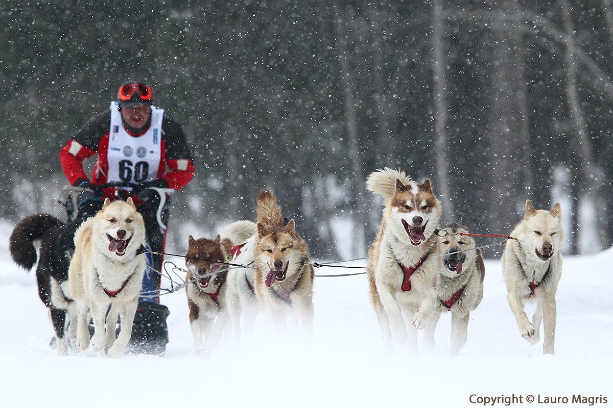 Team sotto la nevicata