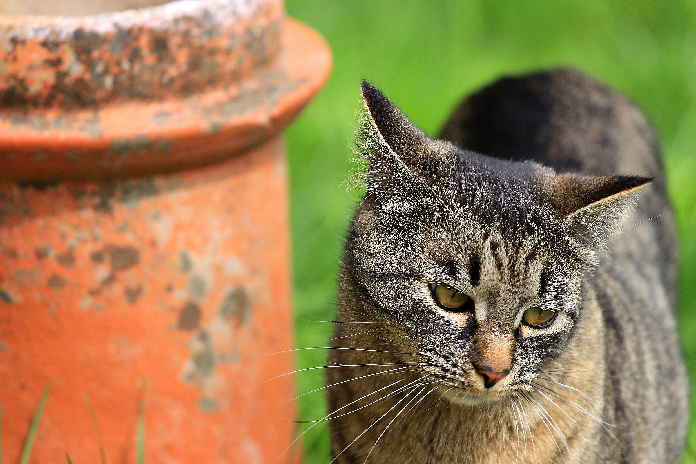 ..non voglio essere fotografata!!!.