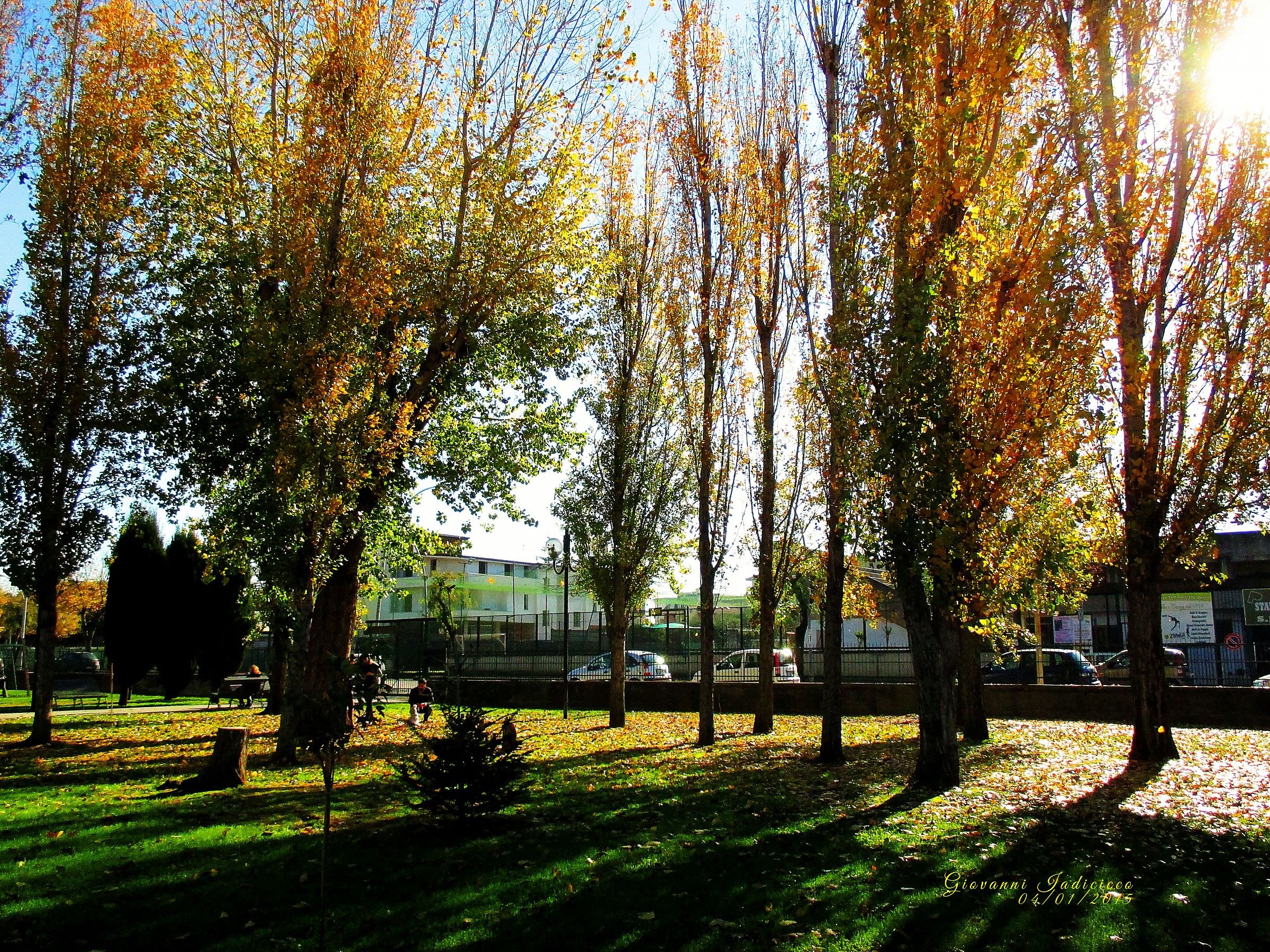 Una domenica al parco