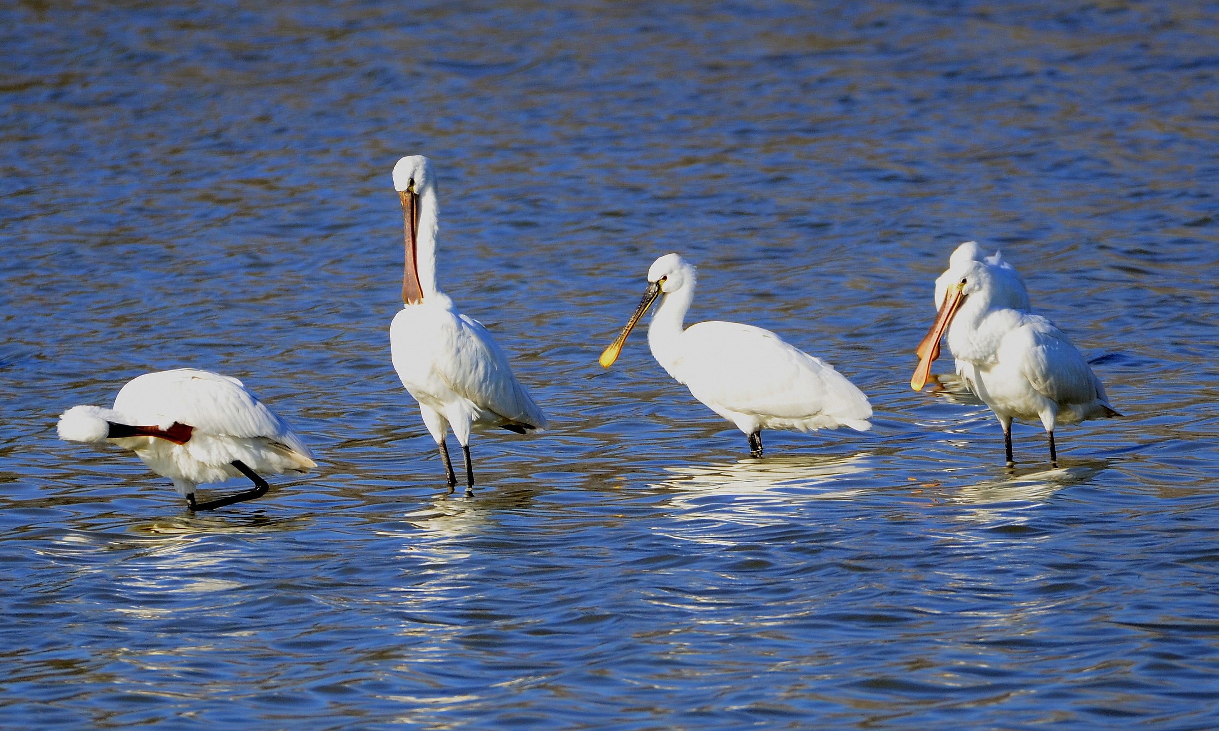 the hour of cleaning