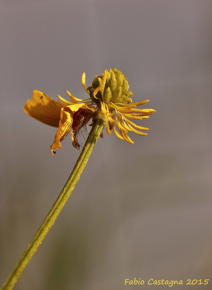 Of course not perfect