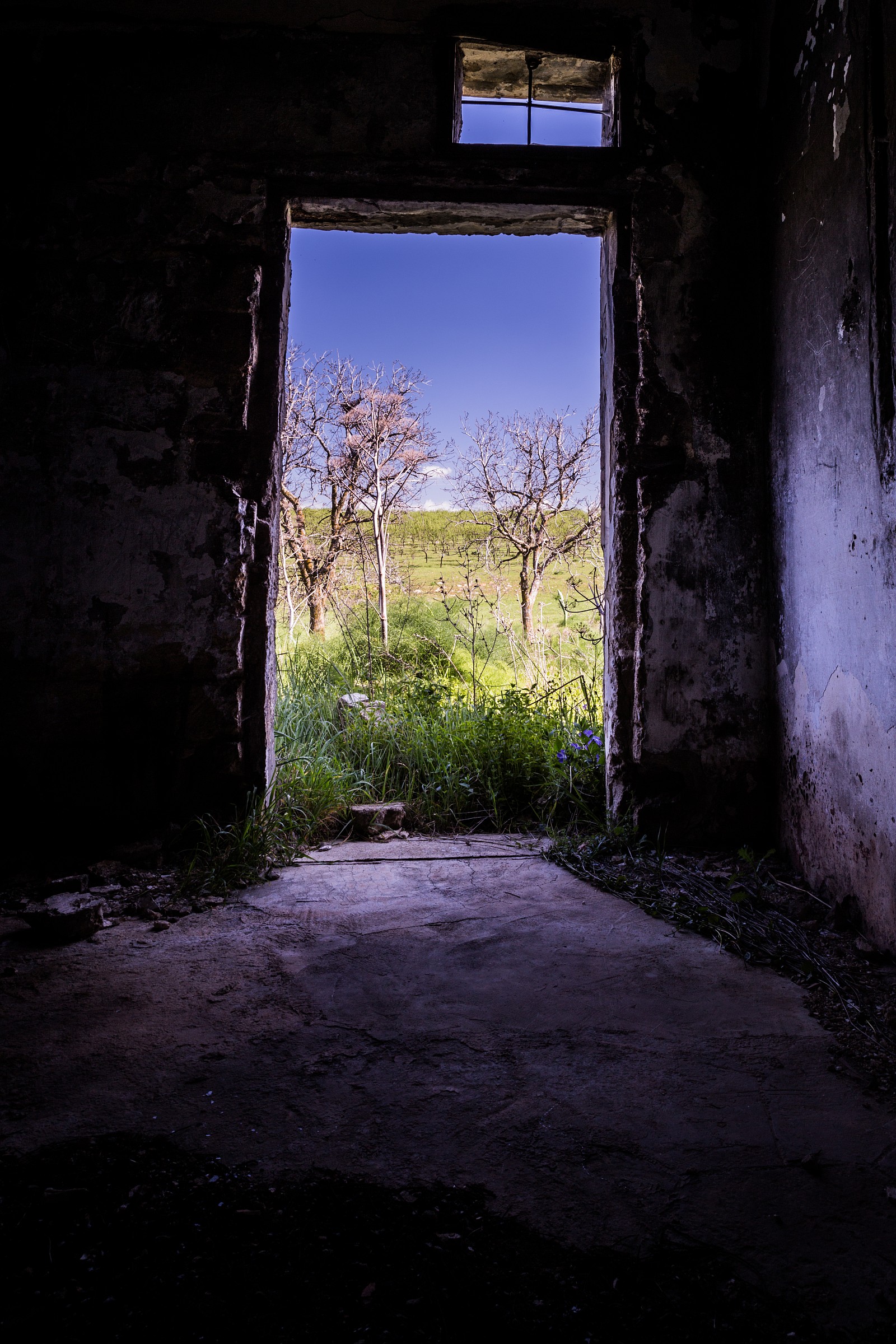 ... Texas Chainsaw Massacre