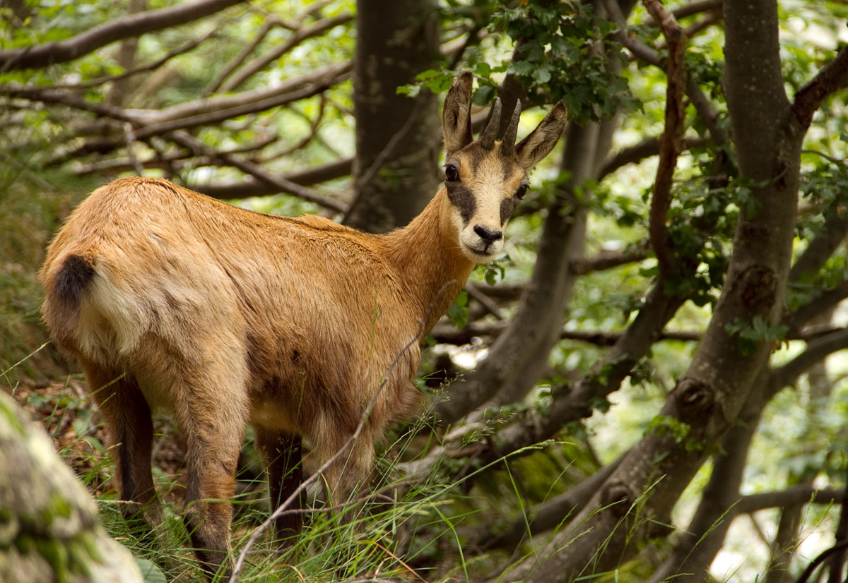 In un giorno di pioggia tu non dovresti essere qui!