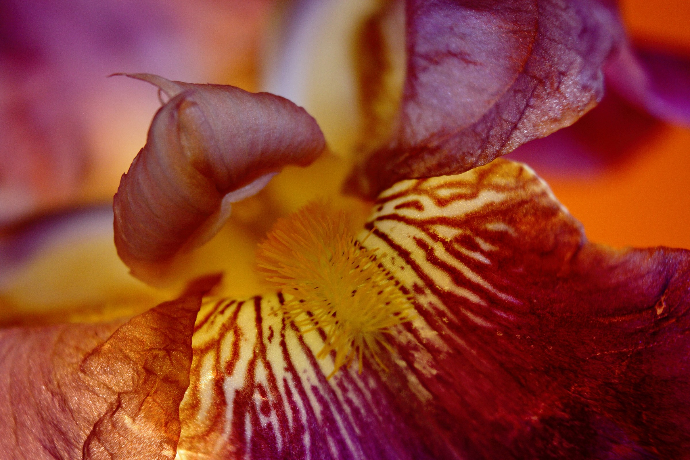 ... Because life is in color !! ...