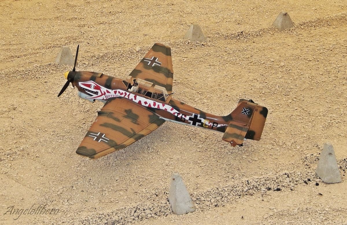 16th Fair of Spring Model: Novegro