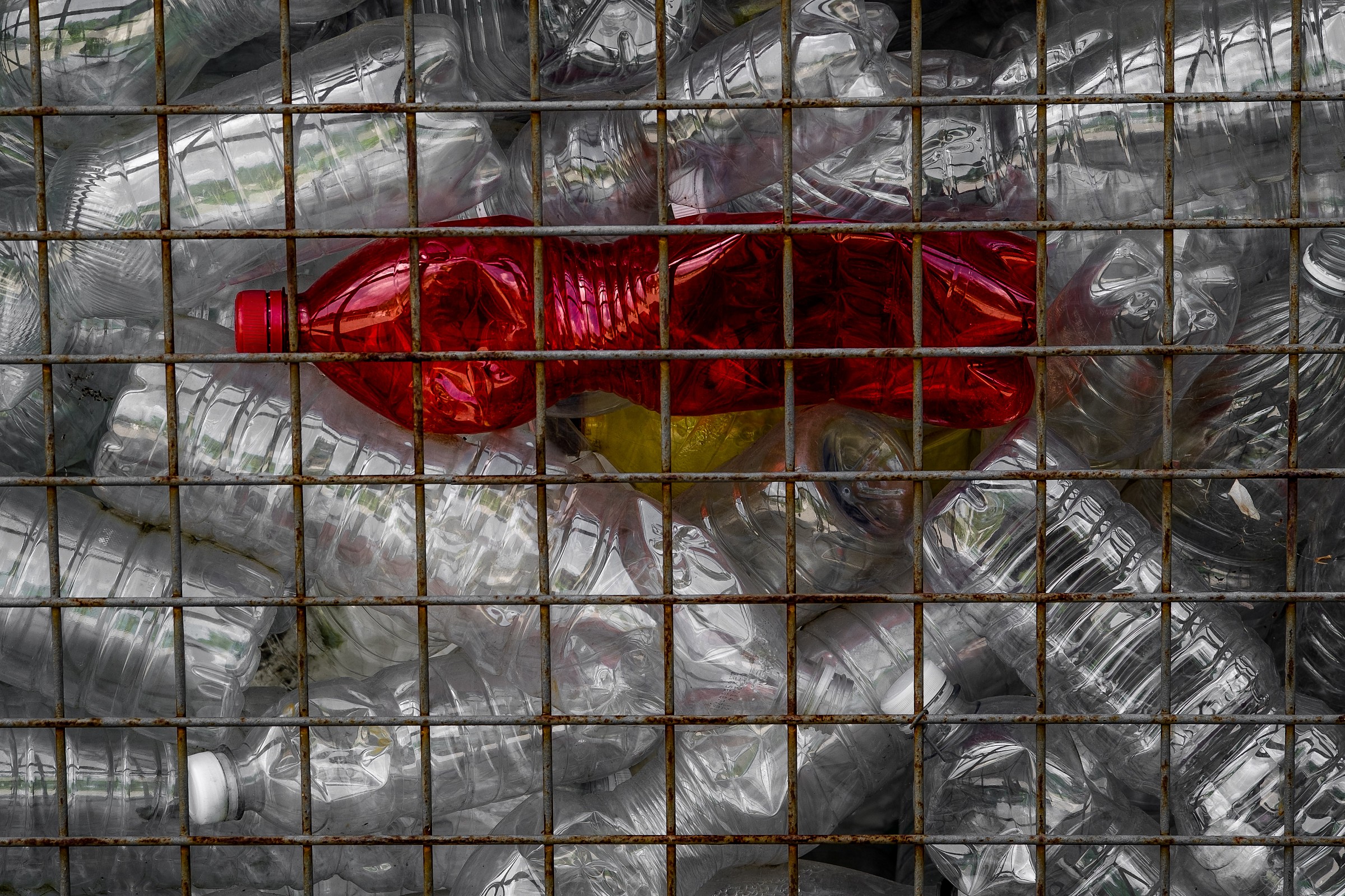 lo giuro sono innocente io non c'entro con loro........