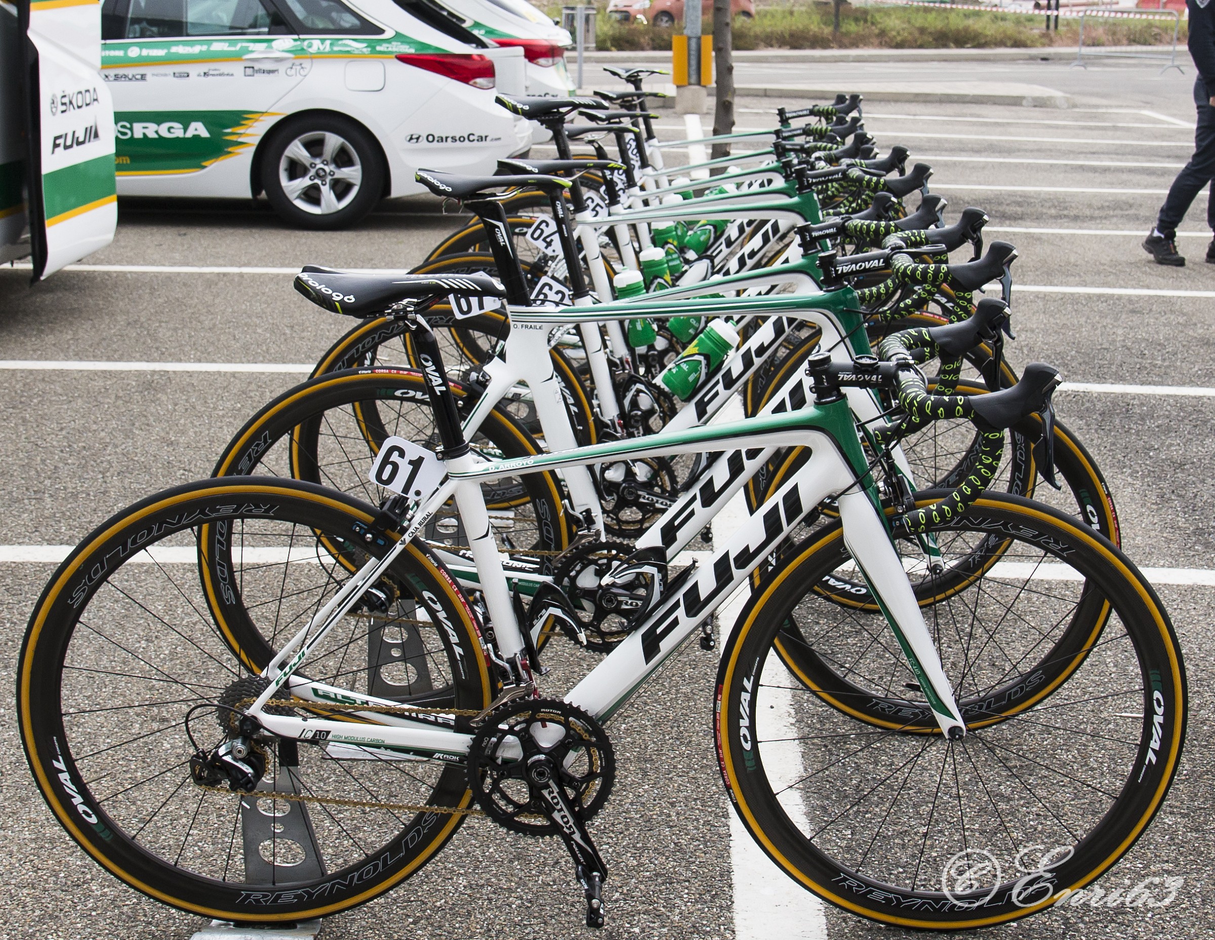 Allineate e pronte..