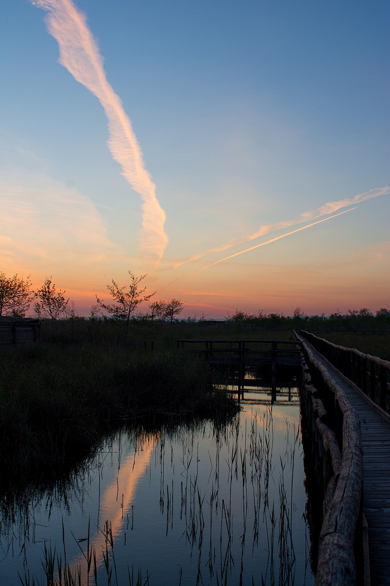dusk on the wharf