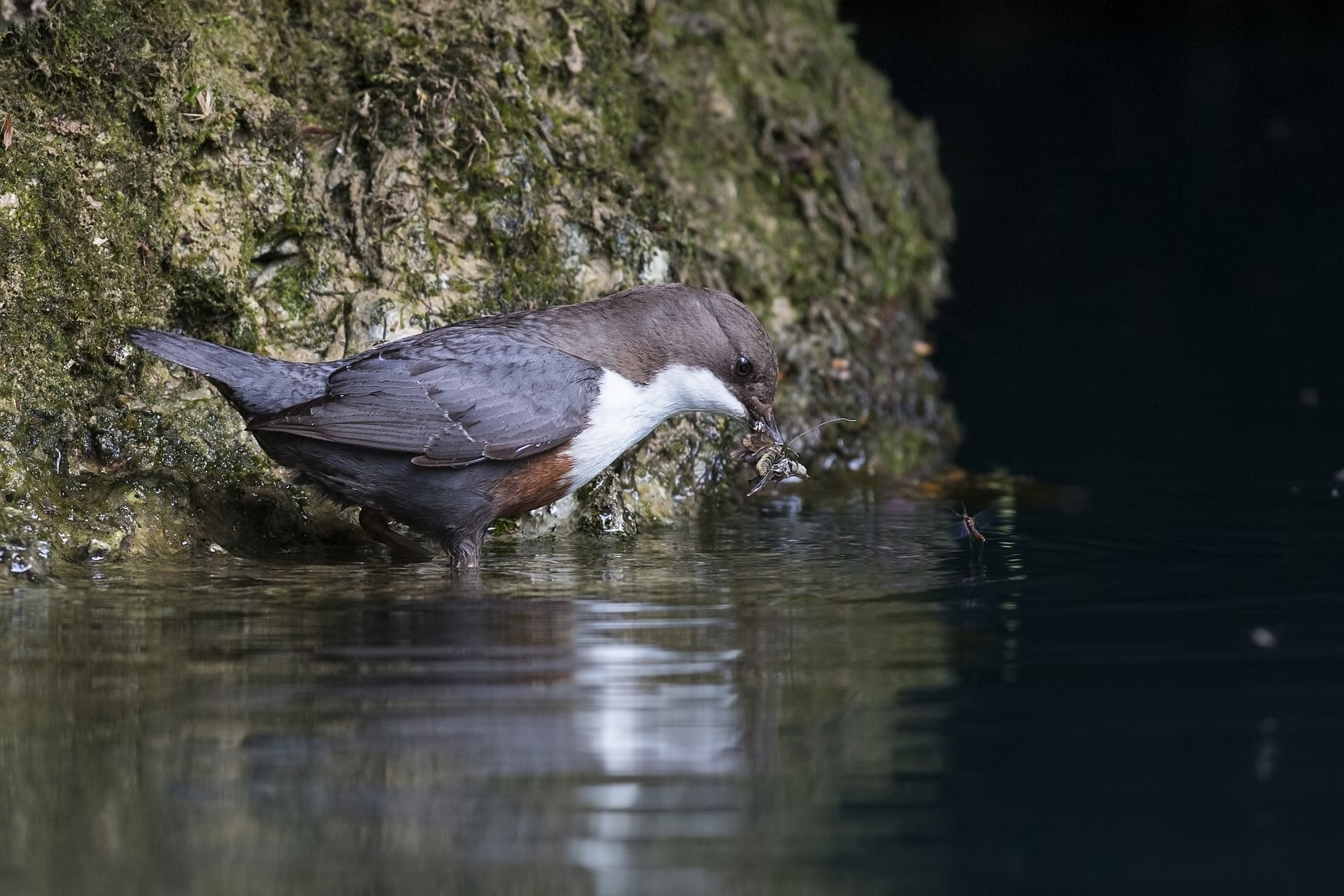 I want to take you too.